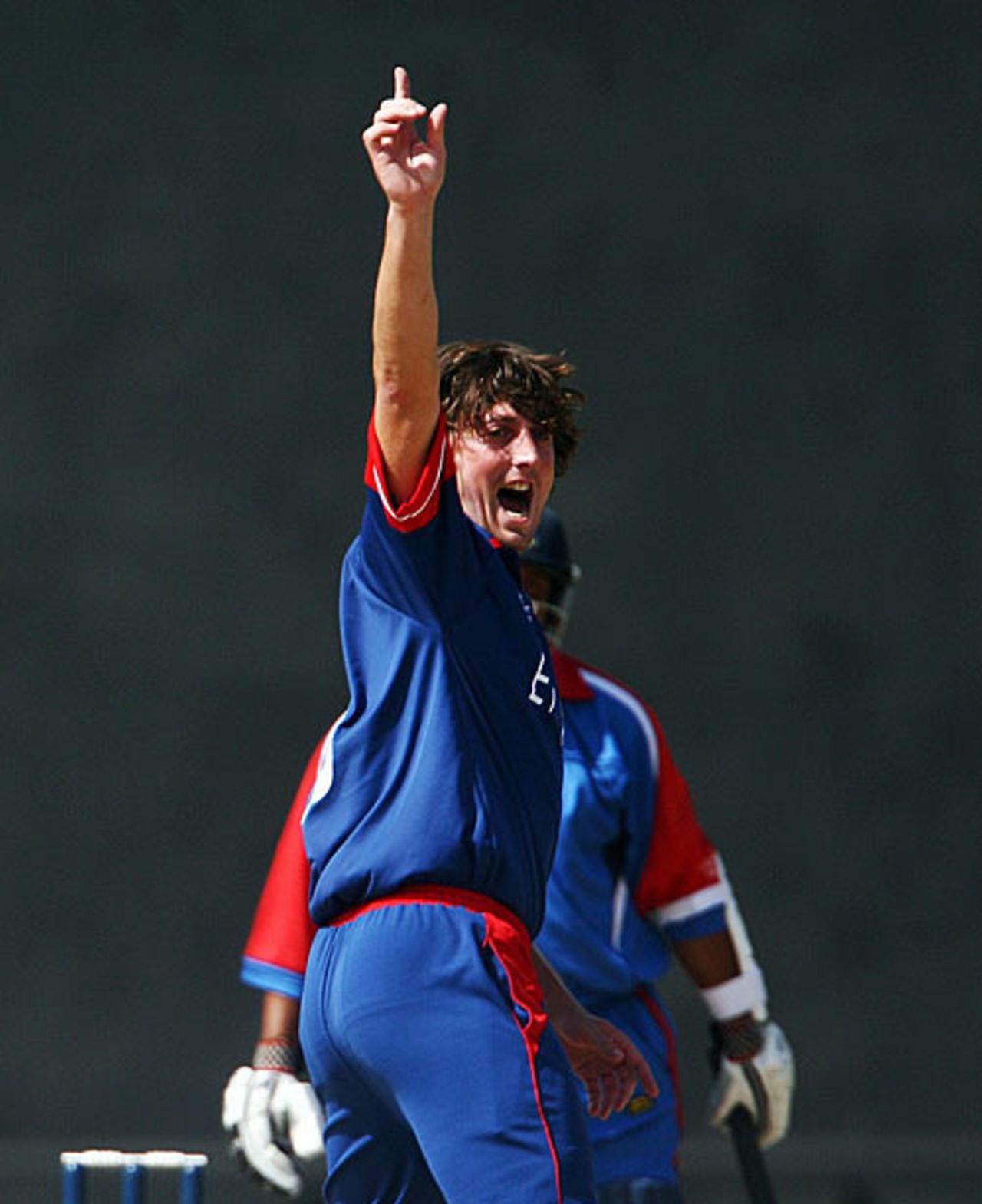 Jon Lewis appeals for another Bermuda wicket, England v Bermuda, World Cup warm-up, Arnos Vale, March 5, 2007