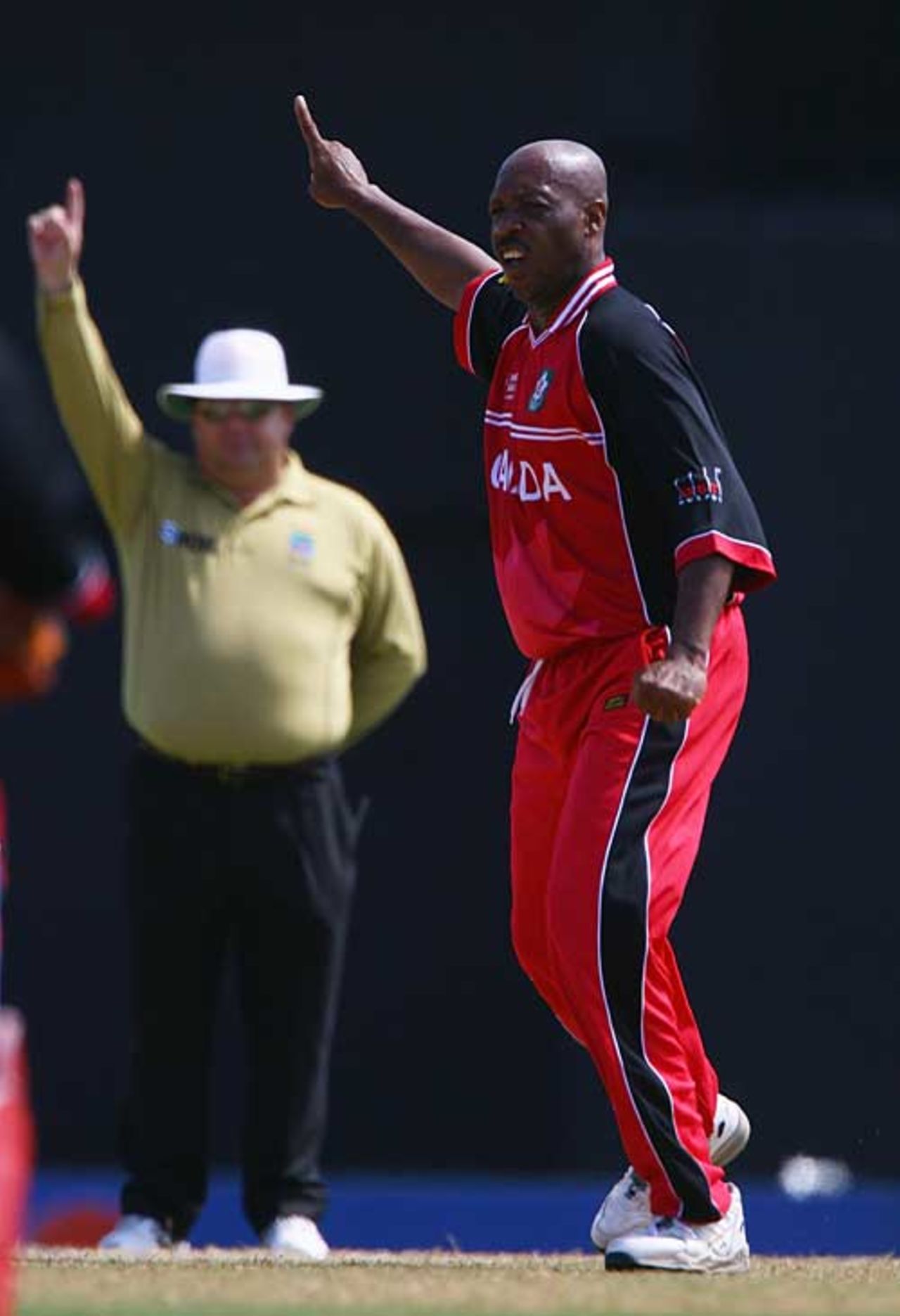 Anderson Cummins gains a decision from Peter Parker, Kenya v Canada, World Cup, Group C, St Lucia, March 14, 2007