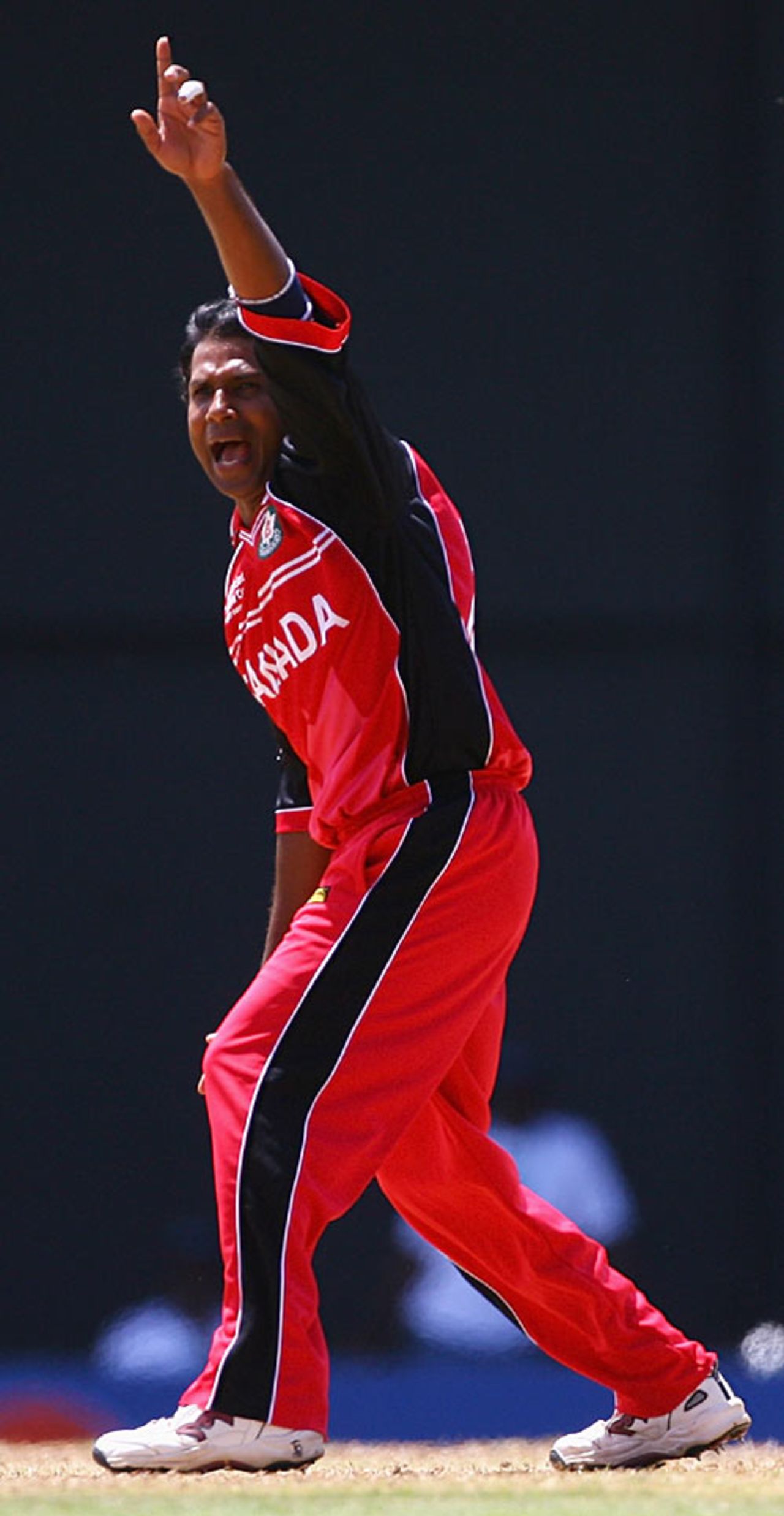 Sunil Dhaniram appeals unsuccessfully for Ed Joyce's wicket, Canada v England, Group C, St Lucia, March 18, 2007