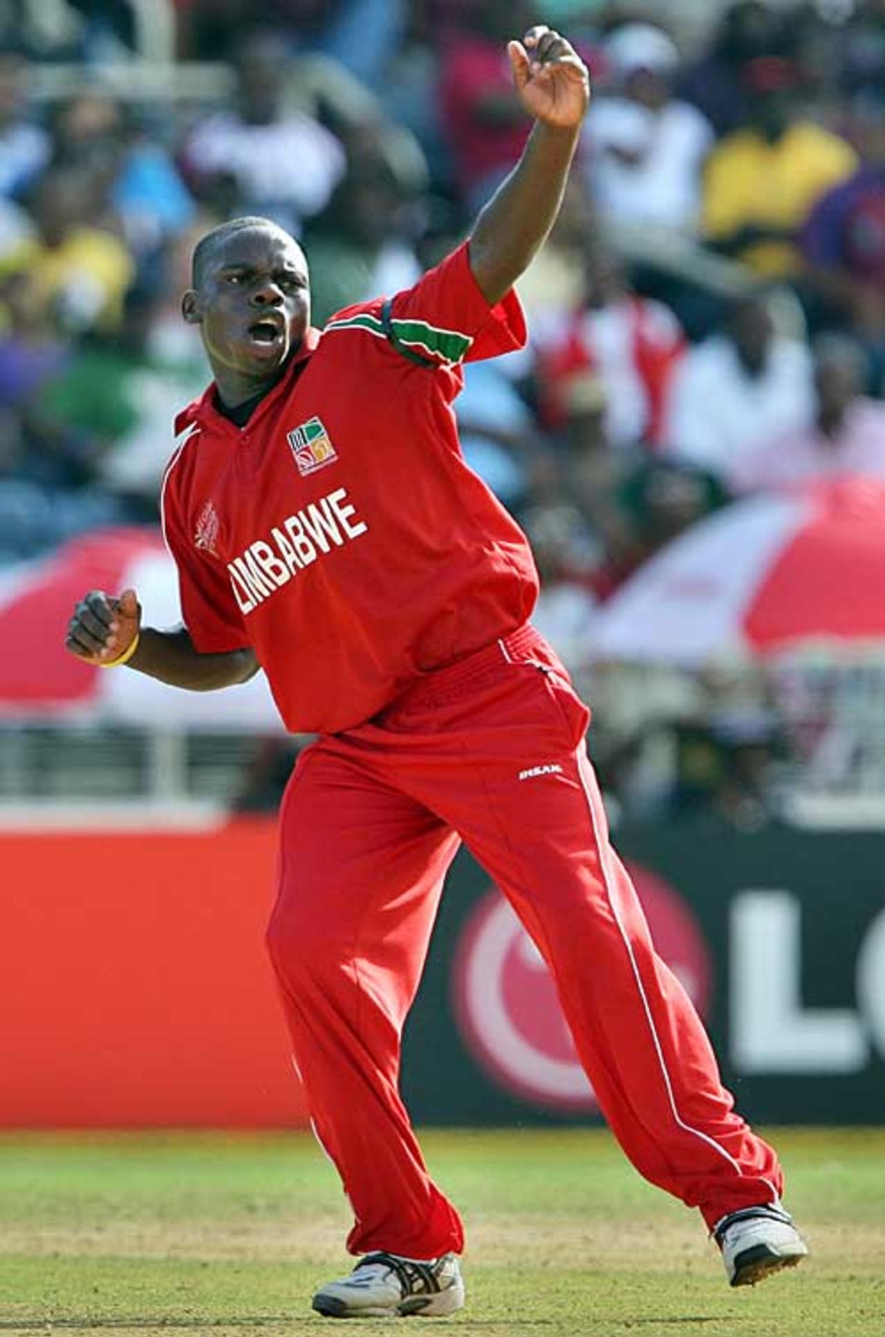 Tawanda Mupariwa celebrates his wicket of Marlon Samuels, West Indies v Zimbabwe, Group D , Jamaica, March 19, 2007