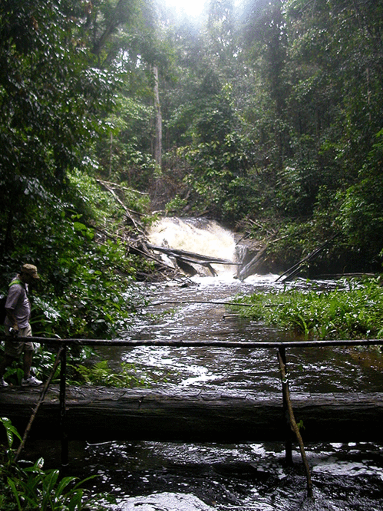 Marshall Rapids, the falls that mark the start of the Amazonian
basin, in Guyana, April 11, 2007