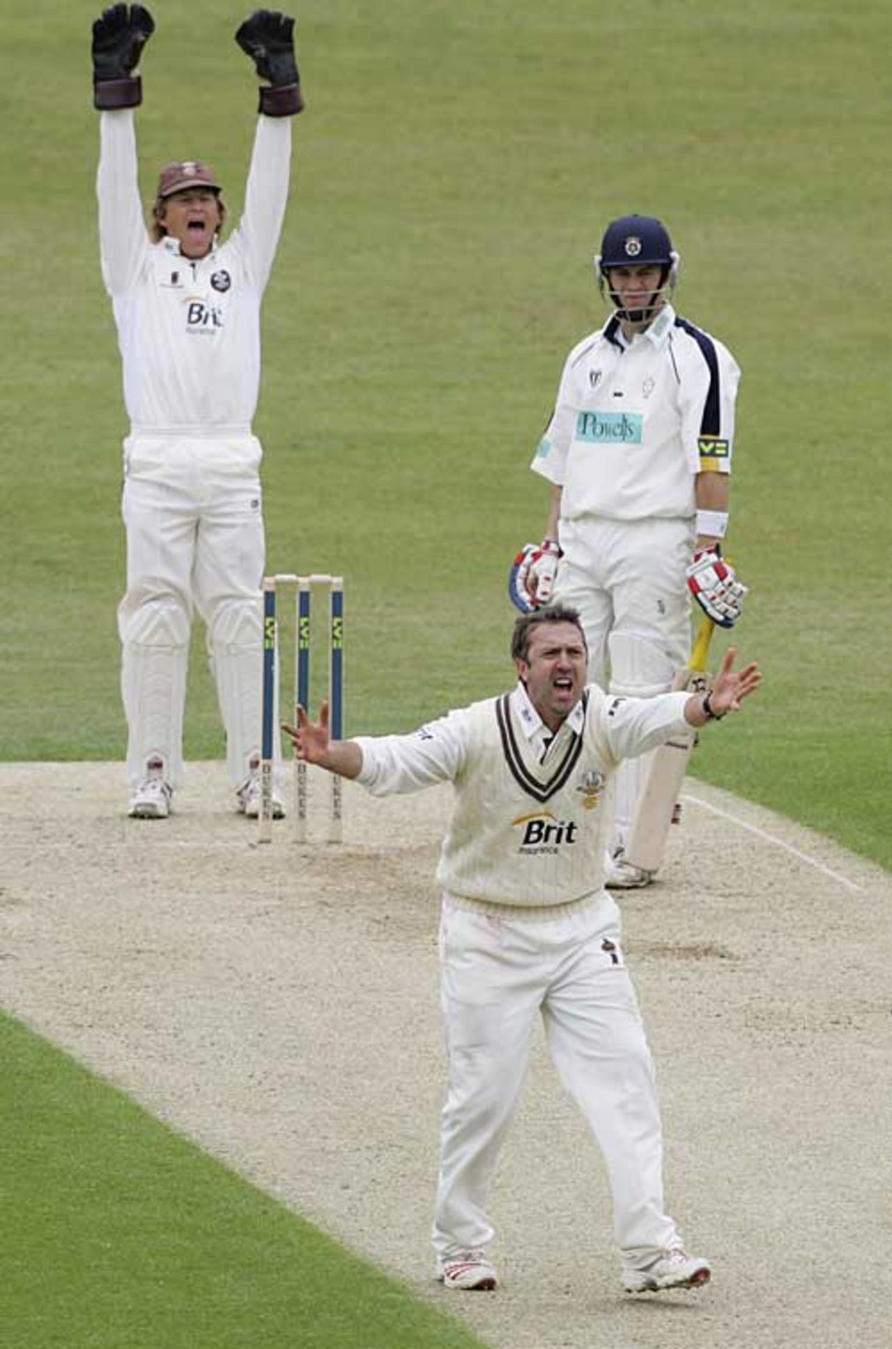 Ian Salisbury roars an appeal against Michael Brown, Surrey v Hampshire, County Championship, Division One, The Oval, April 25, 2007