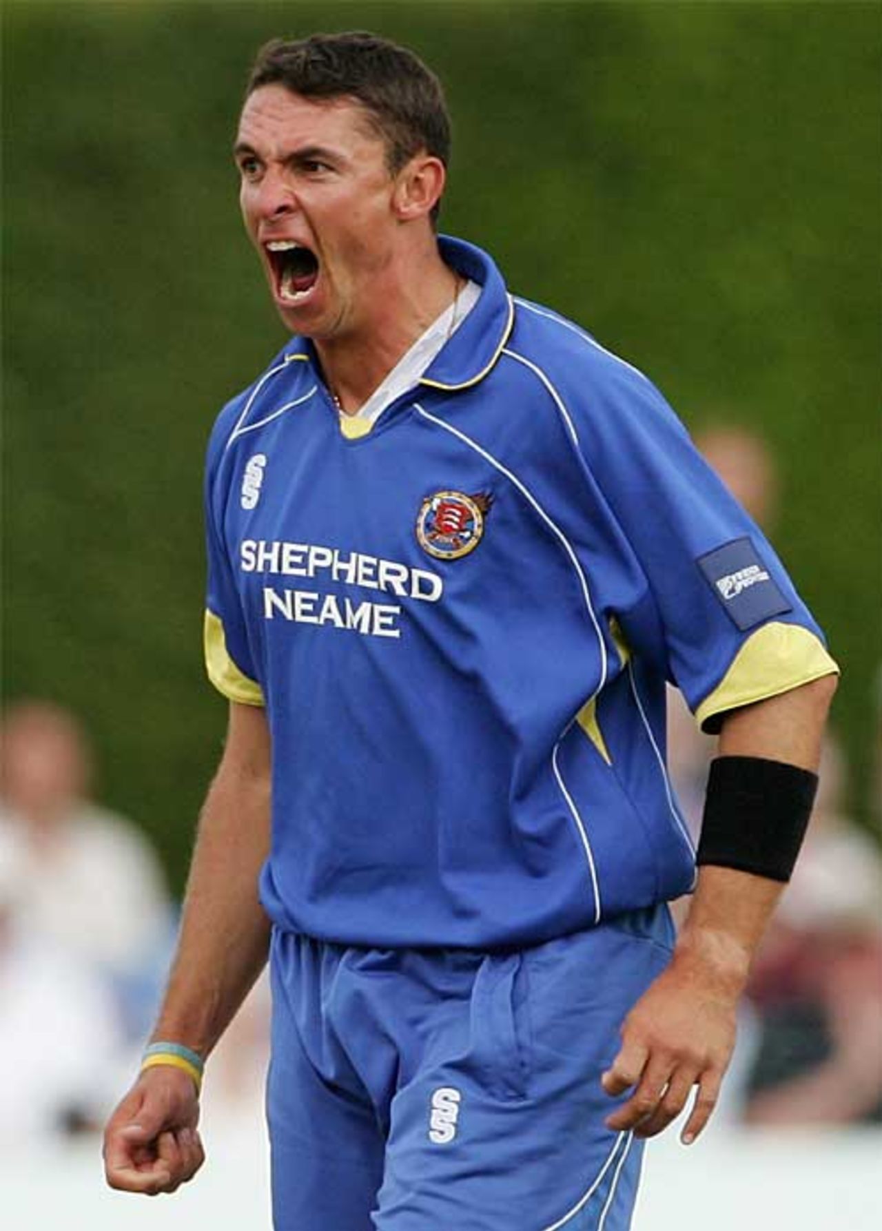 Roar power - Andre Nel helped to keep Essex's chances alive, Surrey v Essex, Friends Provident Trophy, Whitgift School, June 3, 2007