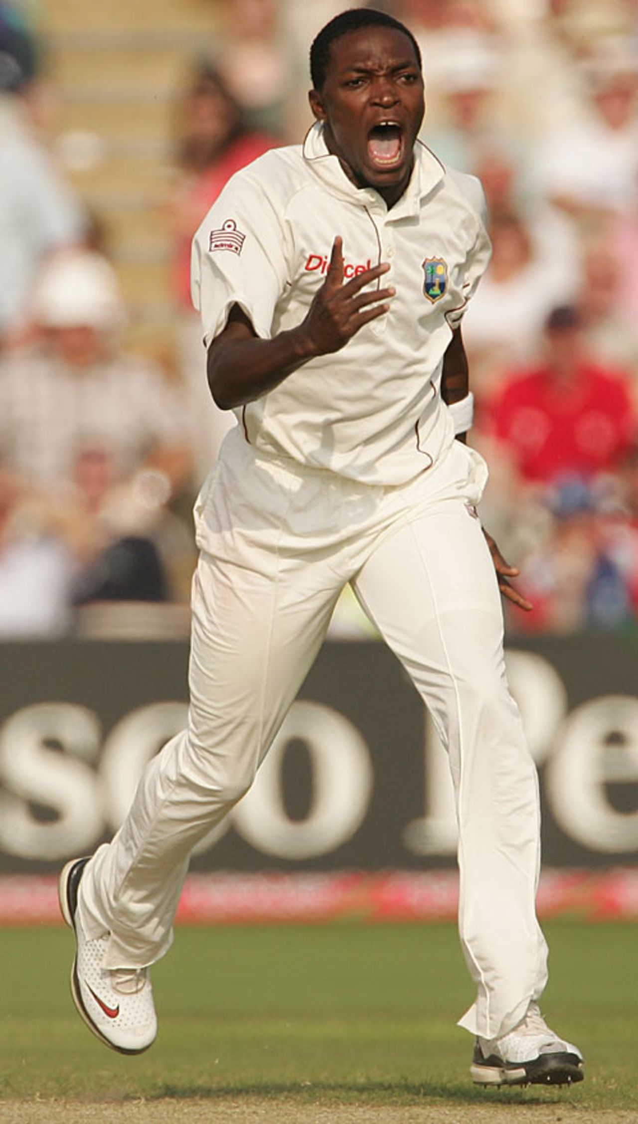 Fidel Edwards is ecstatic after removing Andrew Strauss who again fell cheaply, England v West Indies, 3rd Test, Old Trafford, June 8, 2007