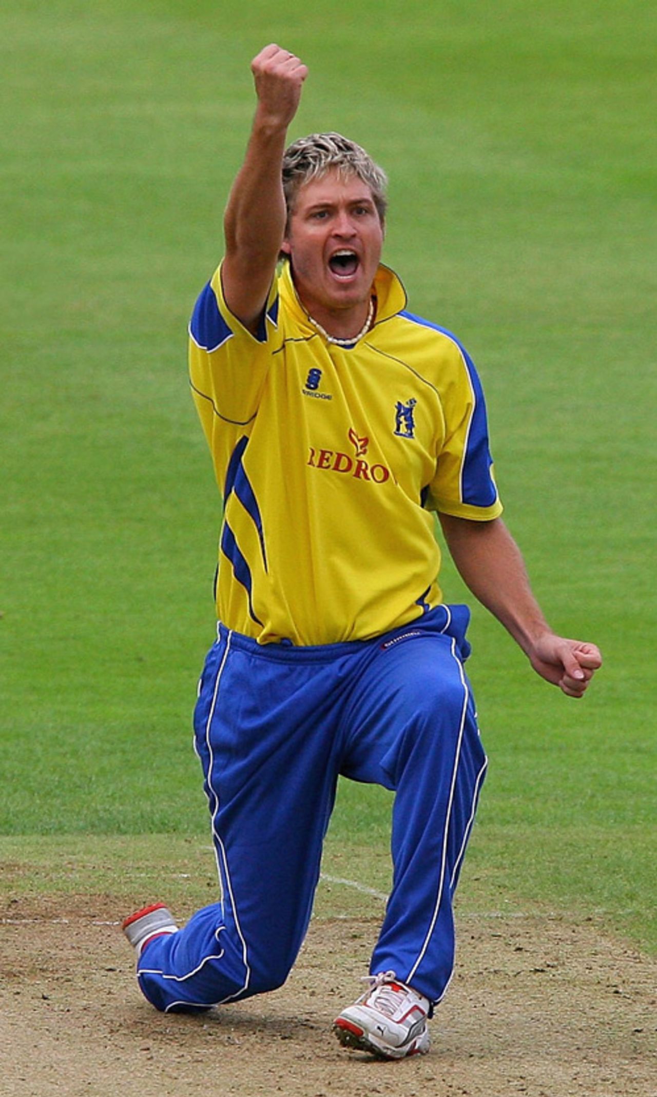 Paul Harris celebrates a wicket for Warwickshire, Warwickshire v Somerset, Twenty20 Cup, Edgbaston, June 22, 2007
