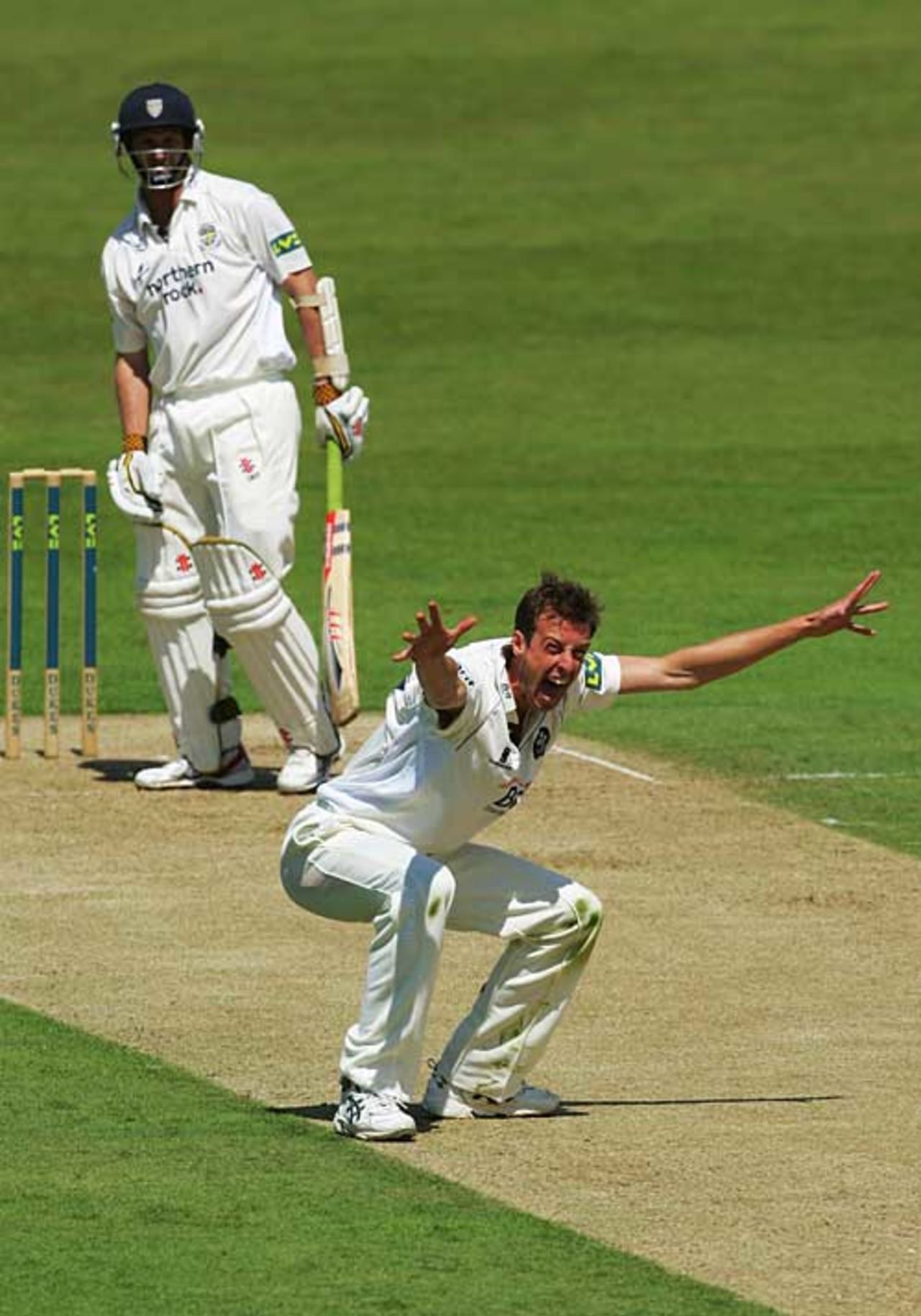 Neil Saker pleads for the wicket of Dale Benkenstein, Surrey v Durham, County Championship, The Oval, July 8, 2007