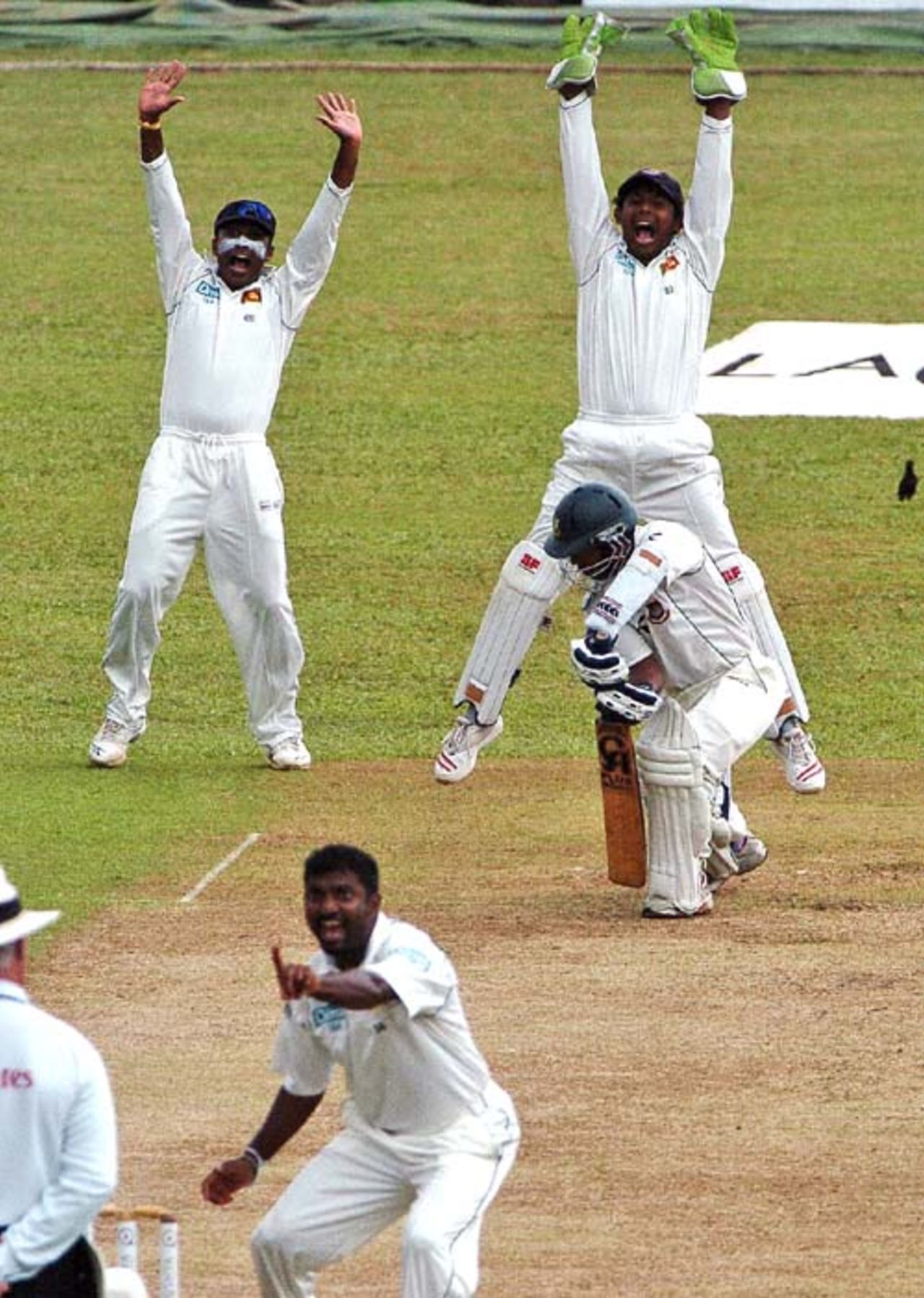 Mahela Jayawardene, wicketkeeper Prasanna Jayawardene, and Muttiah Muralitharan make an unsuccessfull appeal for lbw against Rajin Saleh, Sri Lanka v Bangladesh, 3rd Test, Asgiriya International Stadium, Kandy, 1st day, July 11, 2007