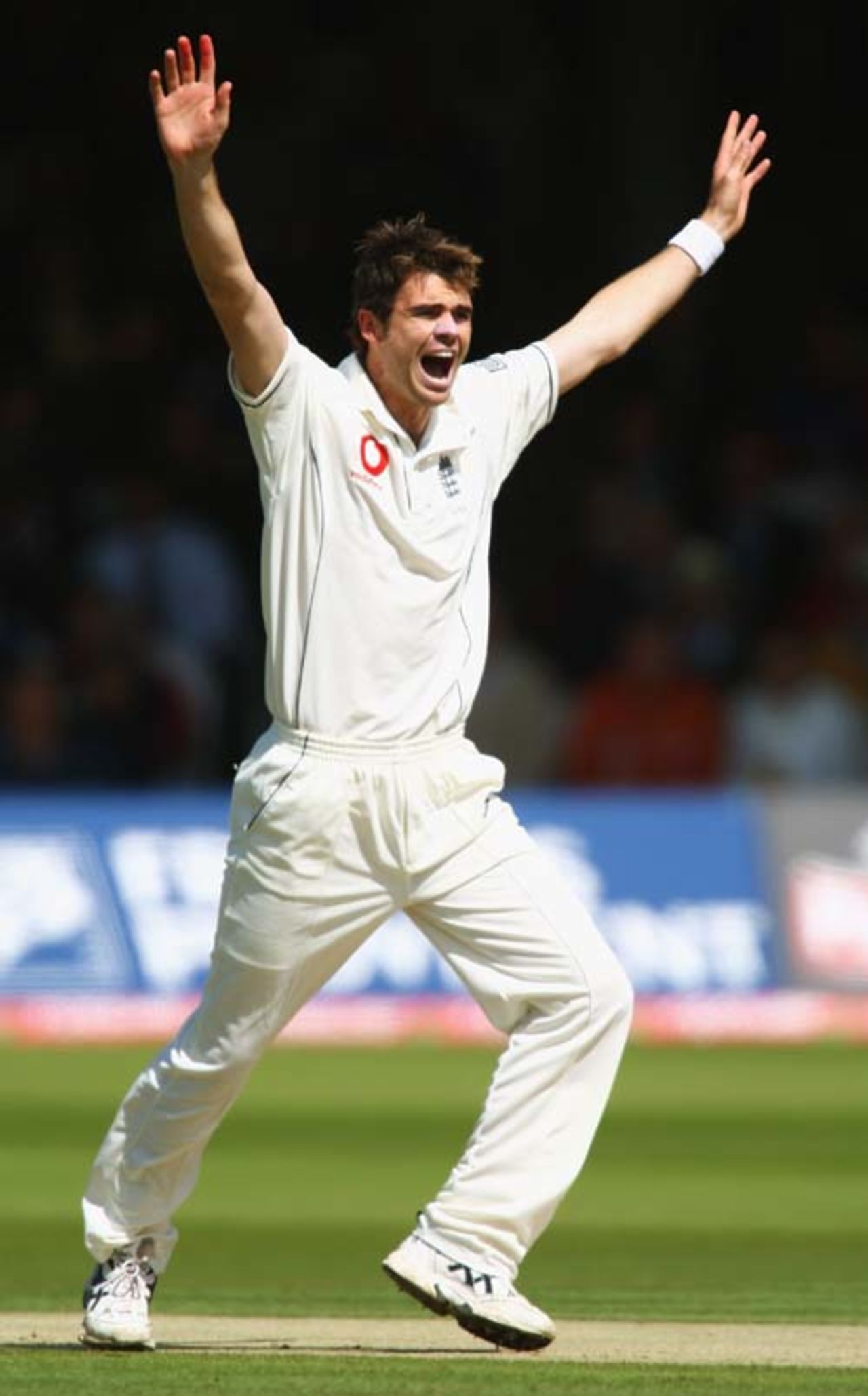 James Anderson appeals unsuccessfully, England v India, 1st Test, Lord's, 2nd day, July 20, 2007