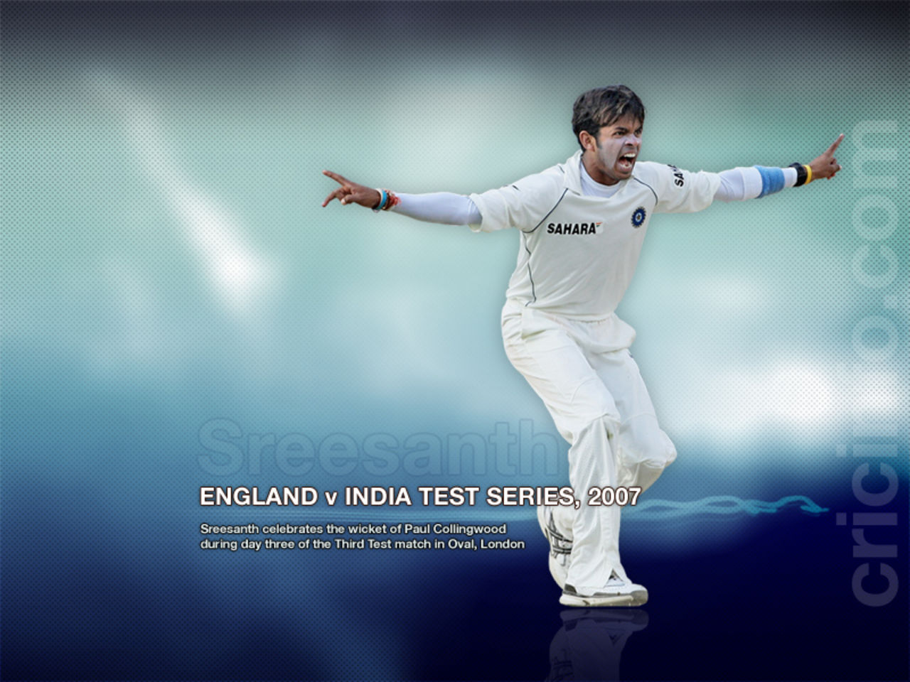 Sreesanth celebrates a wicket, England v India