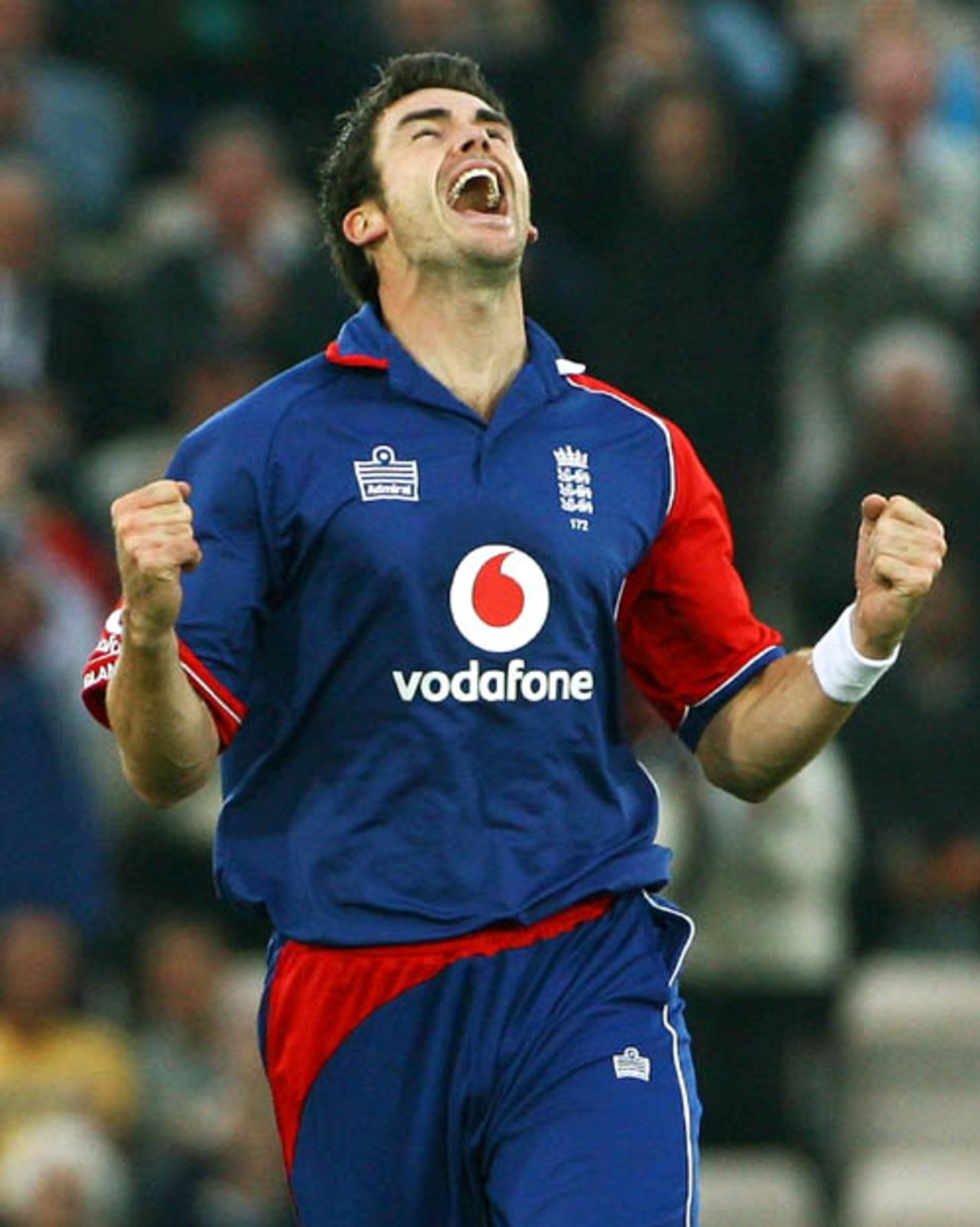 James Anderson is overjoyed after dismissing Yuvraj Singh, England v India, 1st ODI, Southampton, August 21, 2007