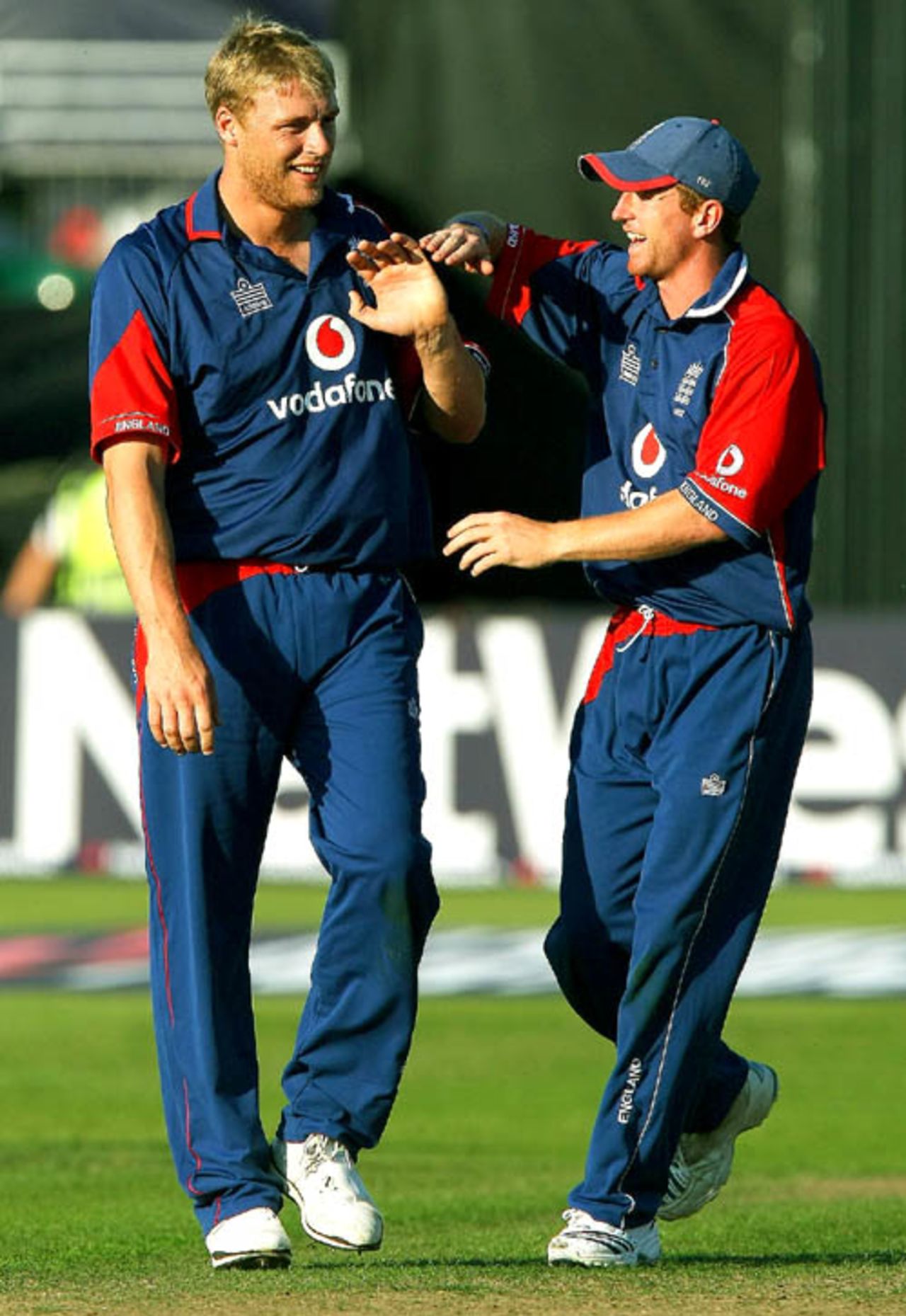 Paul Collingwood congratulates Andrew Flintoff after he dismissed Dinesh Karthik, England v India, 2nd ODI, Bristol, August 24, 2007