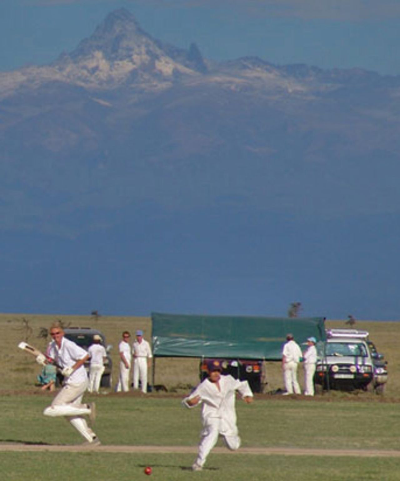 Cricket in the Wild