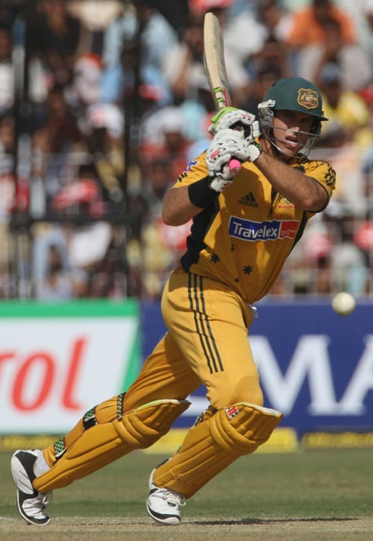 Matthew Hayden continued his glorious run, India v Australia, 4th ODI, Chandigarh, October 8, 2007