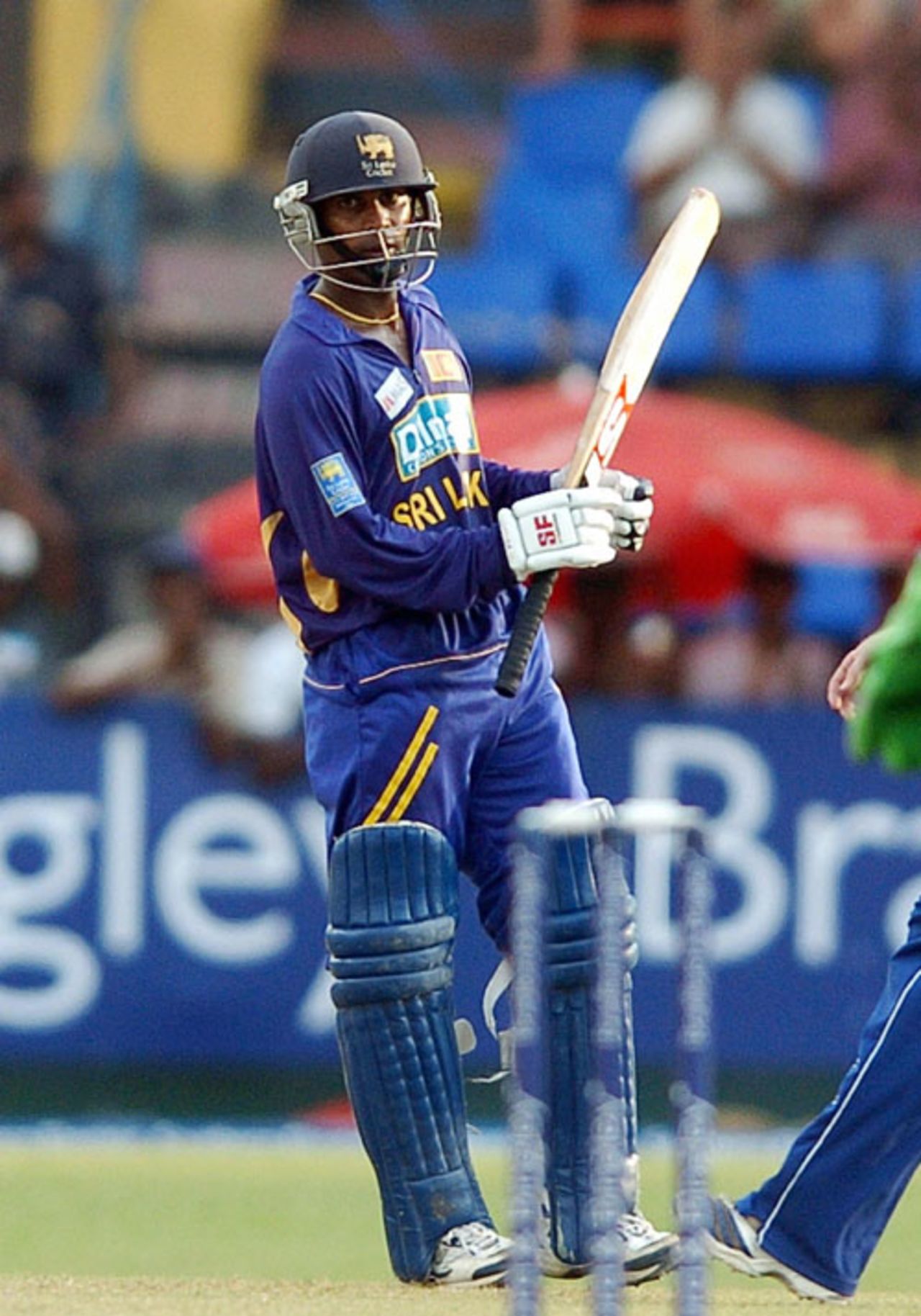 Chamara Silva reaches his half-century, Sri Lanka v England, 5th ODI, Colombo, October 13, 2007