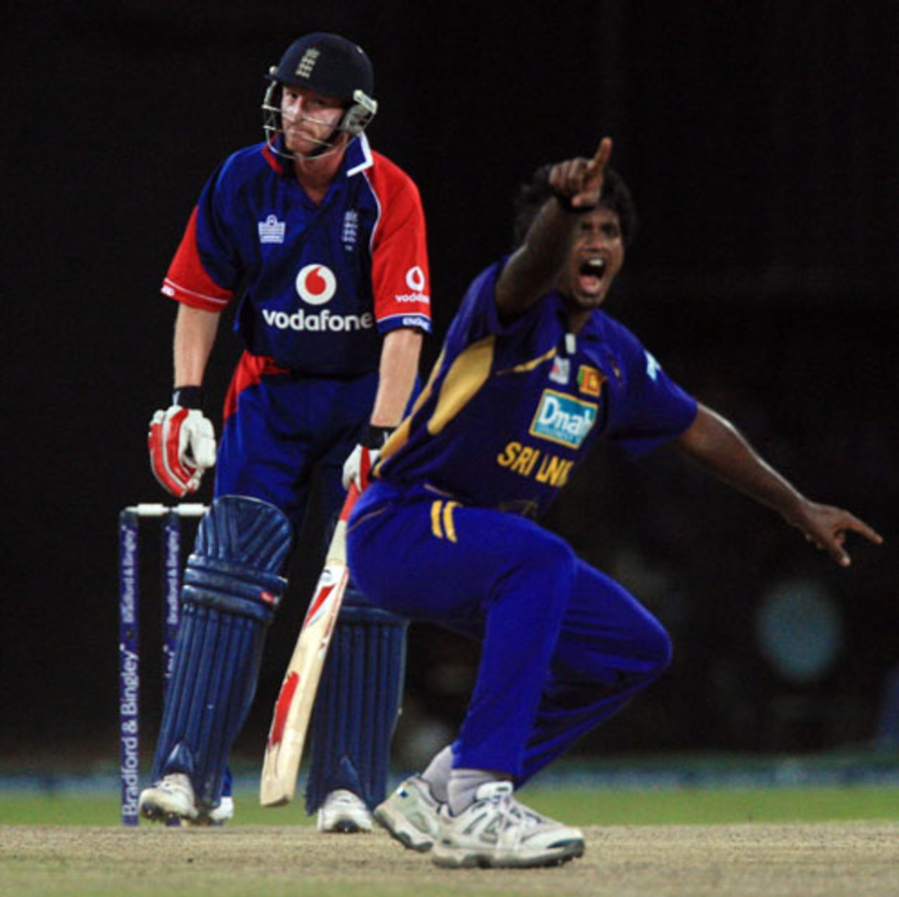 Dilhara Fernando nailed Paul Collingwood leg before for 2, Sri Lanka v England, 5th ODI, Colombo, October 13, 2007