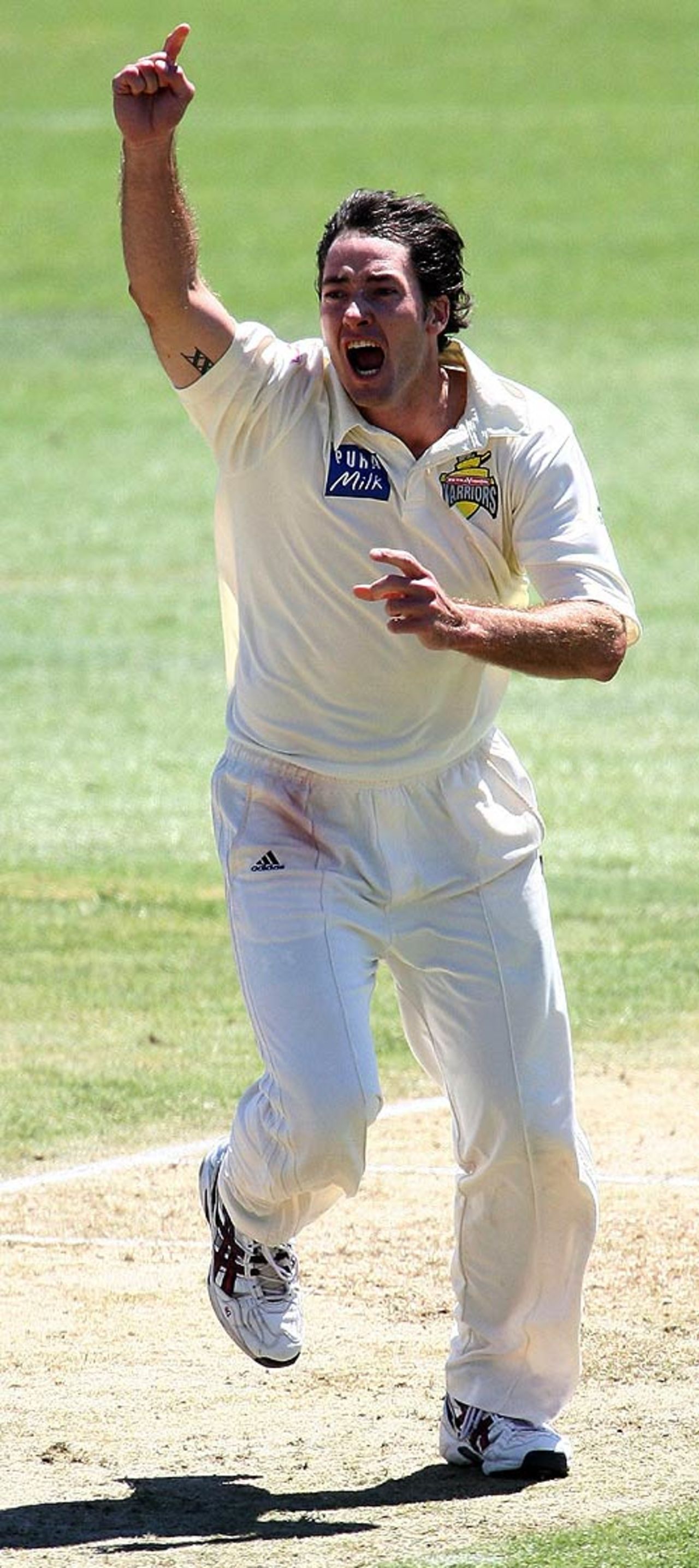 Ben Edmondson celebrates a wicket, Western Australia v New South Wales, Pura Cup, Perth, October 14, 2007