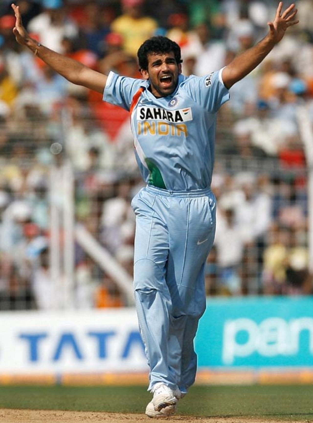 Zaheer Khan makes an unsuccessful appeal, India v Australia, 7th ODI, Mumbai, October 17, 2007