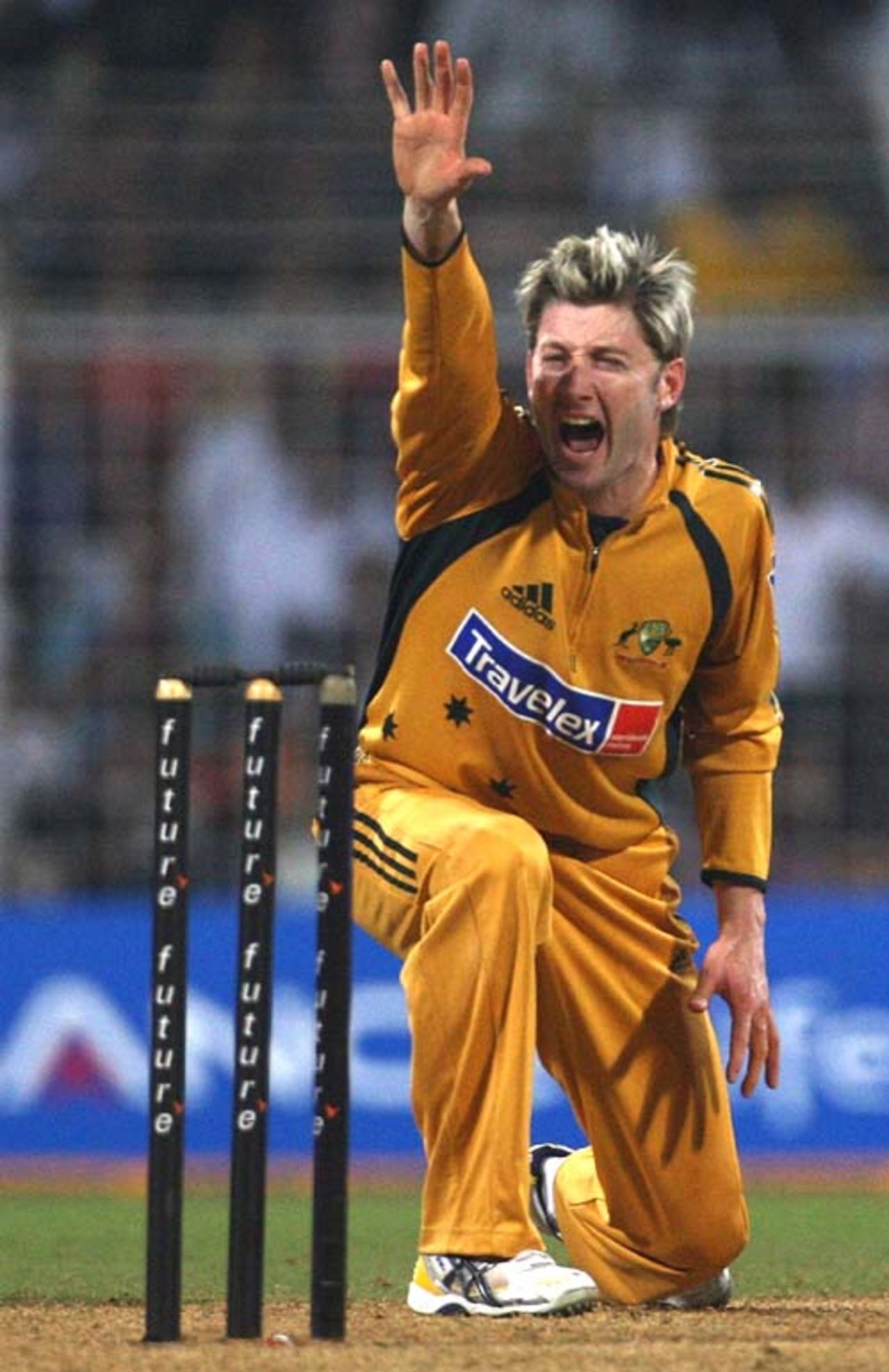 Michael Clarke makes a confident shout for leg-before, India v Australia, 7th ODI, Mumbai, October 17, 2007