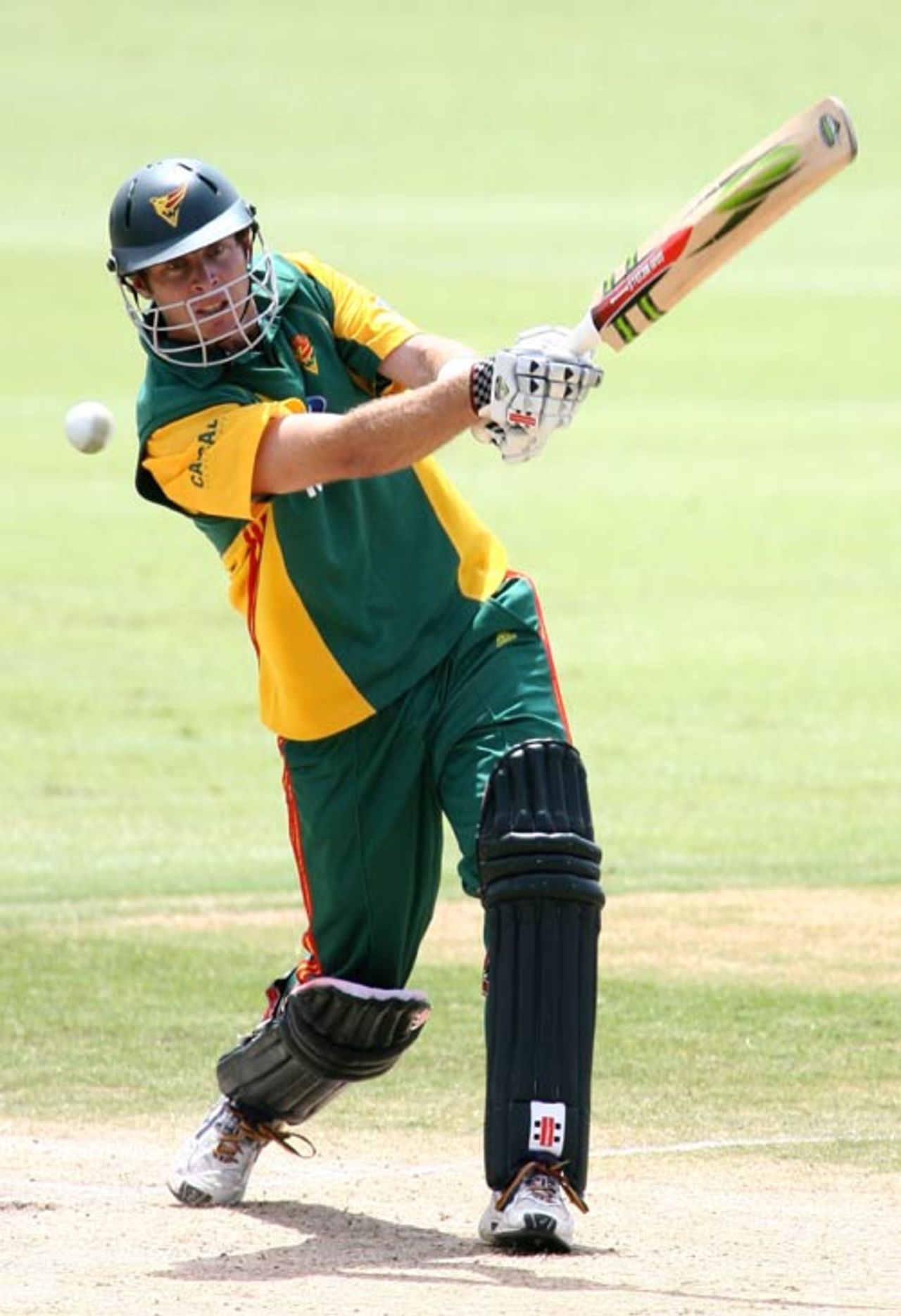 Michael Dighton top scored for the Tigers with 38, Western Australia v Tasmania, FR Cup, Perth, October 21, 2007