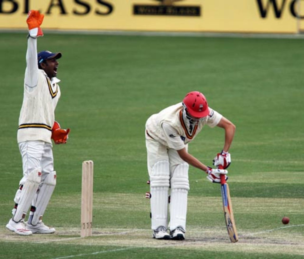 Cullen Bailey trapped in front by Muttiah Muralitharan, Cricket Australia Chairman's XI v Sri Lankans, 3rd day, Adelaide, October 29, 2007