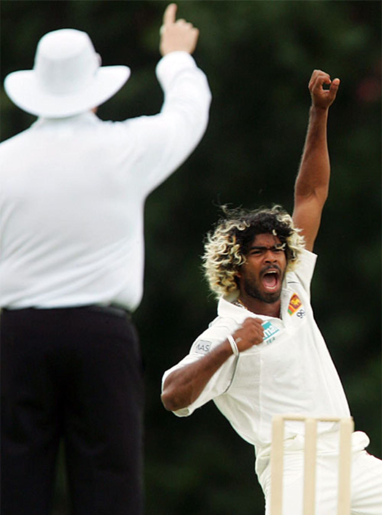 Lasith Malinga struck early for the Sri Lankans, trapping Jimmy Maher for 4, Queensland v Sri Lankans, 3rd day, Brisbane, November 2, 2007