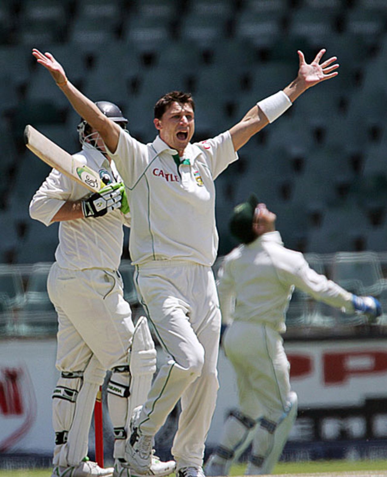 Dale Steyn successfully appeals for the wicket of Scott Styris, 1st Test, Johannesburg, 4th day, November 11, 2007