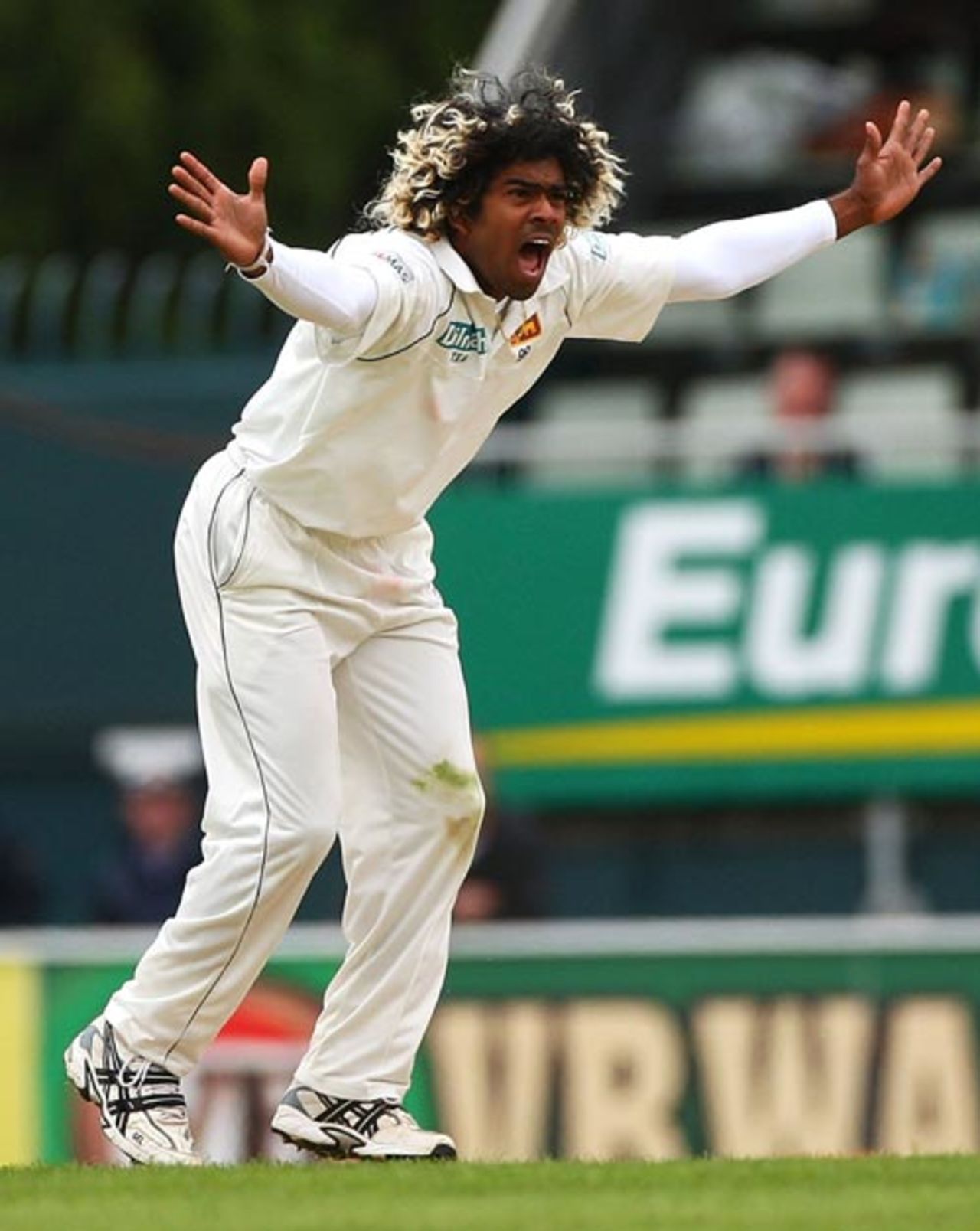 Lasith Malinga appeals successfully against Michael Clarke, Australia v Sri Lanka,  2nd Test, Hobart, 2nd day, November 17, 2007