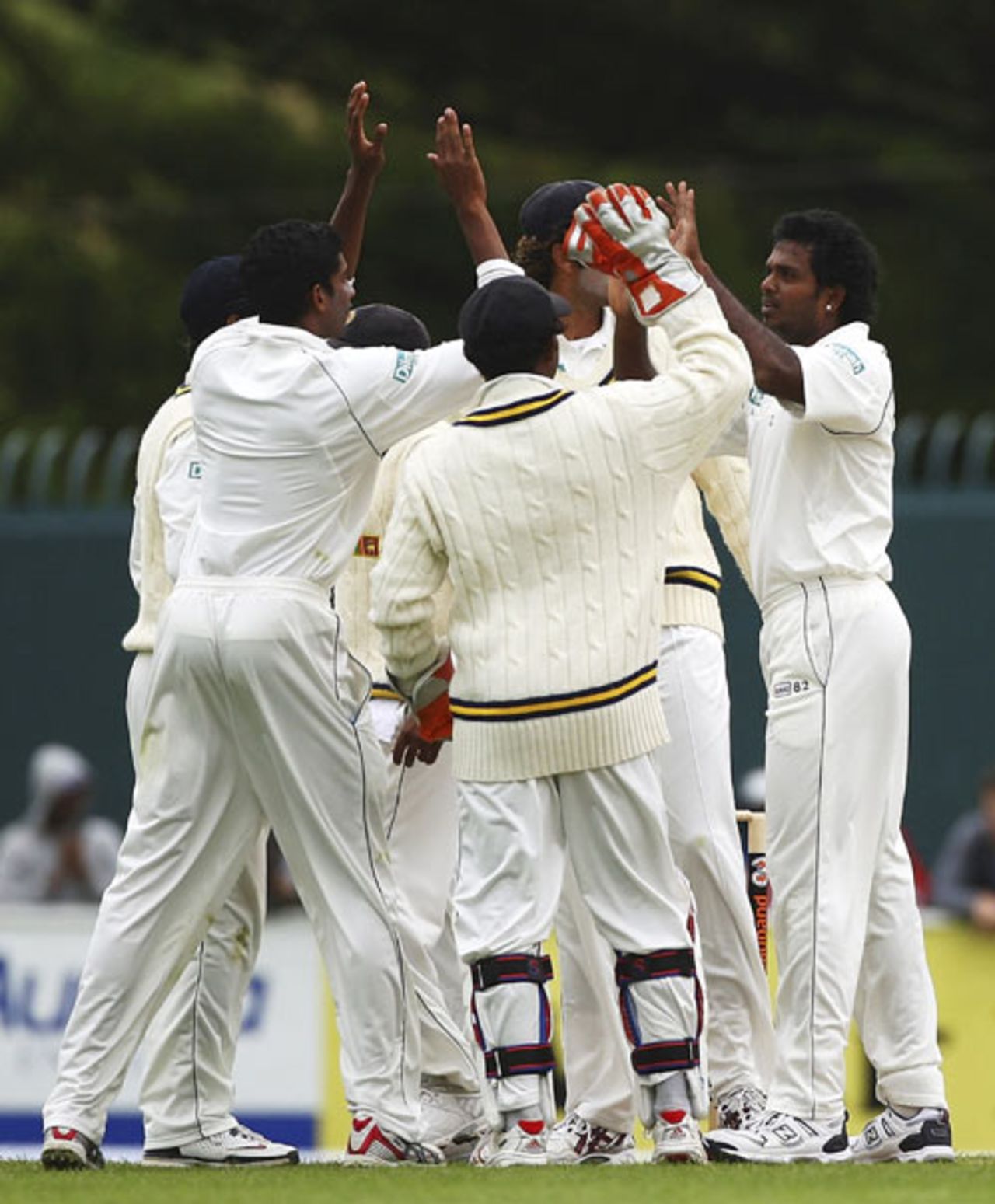 Dilhara Fernando celebrates a dismissal with his team-mates, Australia v Sri Lanka, 2nd Test, Hobart, 2nd day, November 17, 2007