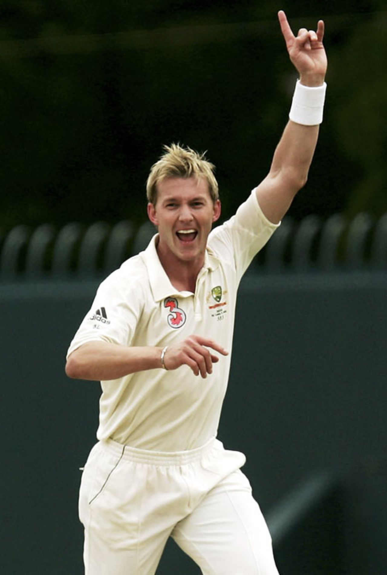 Brett Lee continued to torment the Sri Lankans, Australia v Sri Lanka, 2nd Test, Hobart, 3rd day, November 18, 2007