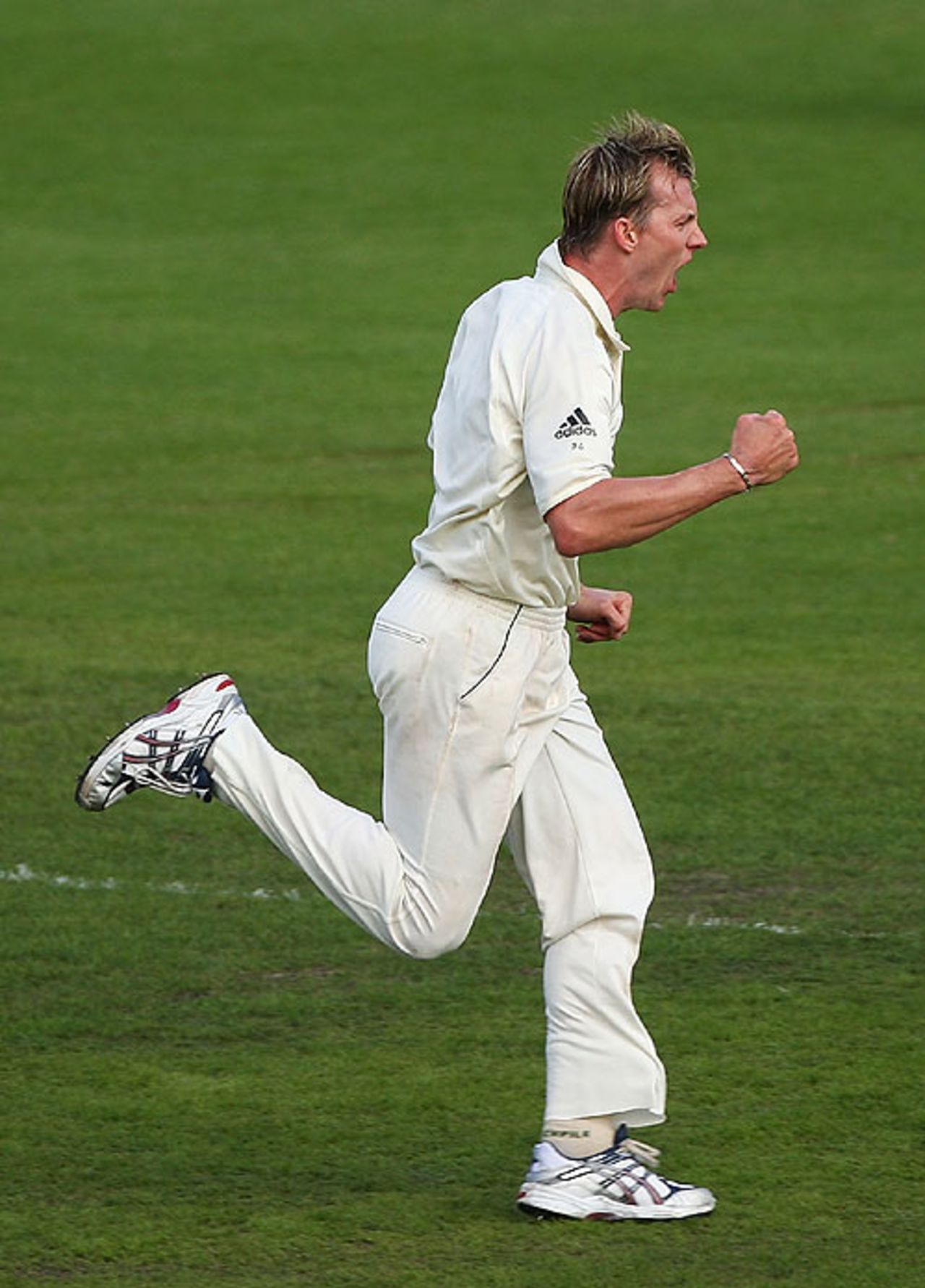 Brett Lee celebrates his double-strike on day four, Australia v Sri Lanka,  2nd Test, Hobart, 4th day, November 19, 2007