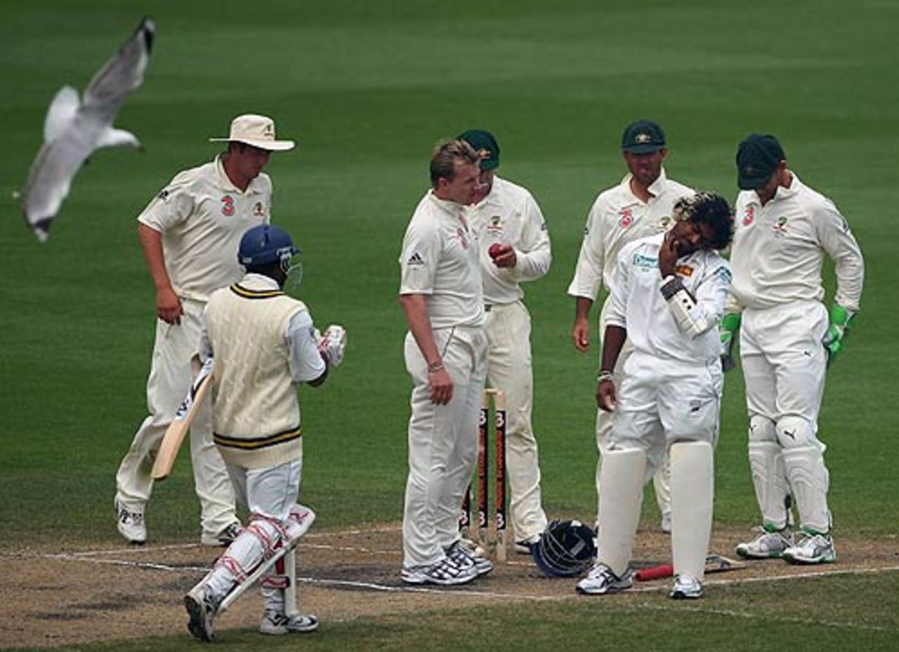 Australia check on Lasith Malinga after he was struck by a Brett Lee bouncer, Australia v Sri Lanka, 2nd Test, Hobart, 5th day, November 20, 2007