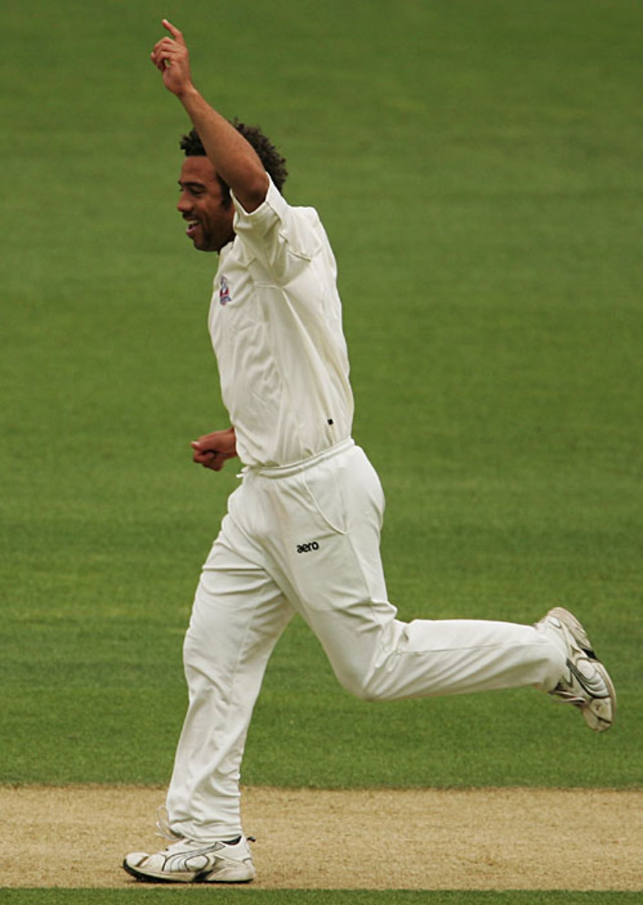 Andre Adams celebrates removing Geoff Barnett, Auckland v Central, State Championship, Eden Park, November 21, 2007