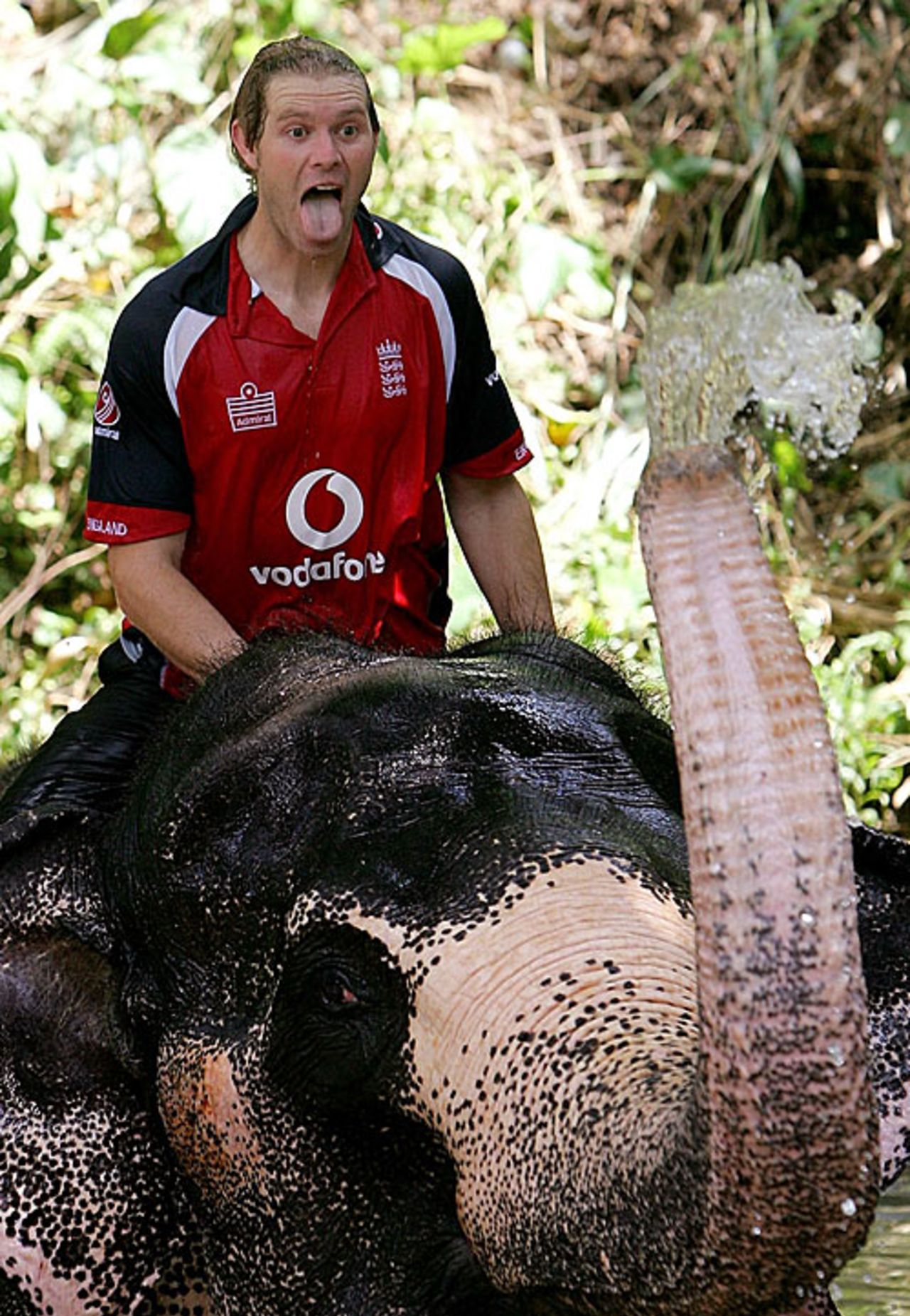 Matthew Hoggard waits to be sprayed by an elephant in Pinwella near Kandy, November 28, 2007