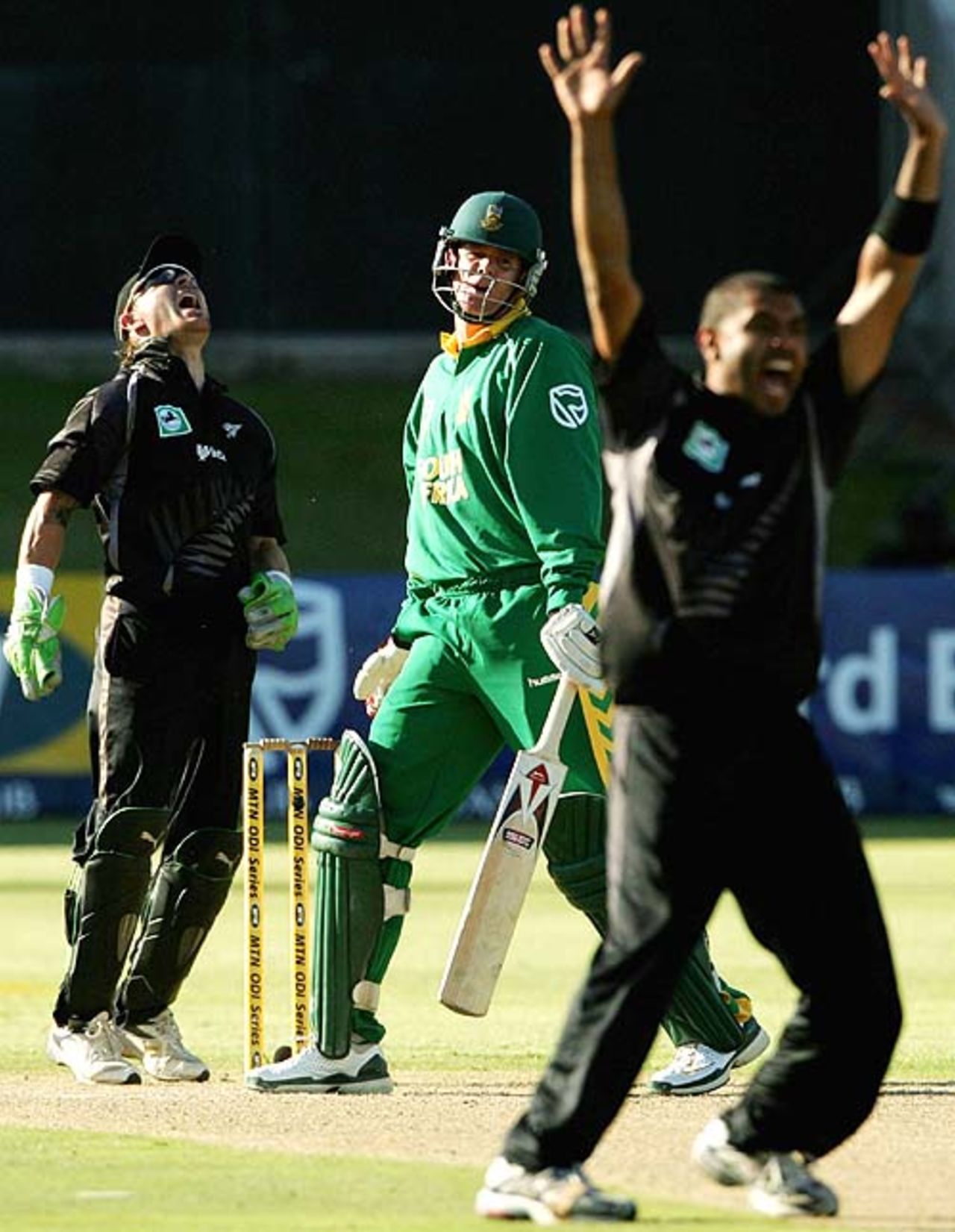 Brendon McCullum expresses his frustration even as Jeetan Patel makes an unsuccessful appeal against Shaun Pollock, South Africa v New Zealand, 2nd ODI, Port Elizabeth, November 30, 2007