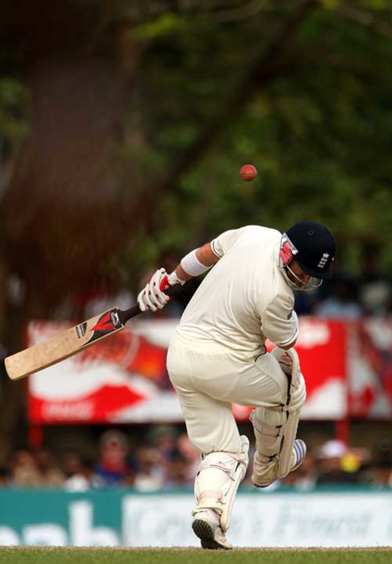 Ian Bell takes a blow from Dilhara Fernando, Sri Lanka v England, 1st Test, Kandy, December 5, 2007
