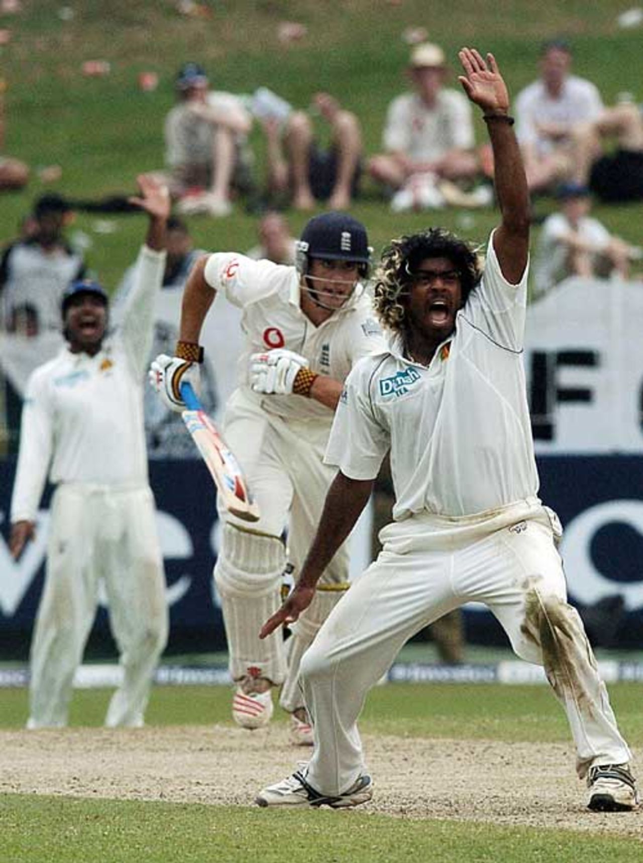 Lasith Malinga traps Alastair Cook lbw for 81, Sri Lanka v England, 2nd Test, Colombo, December 9, 2007
