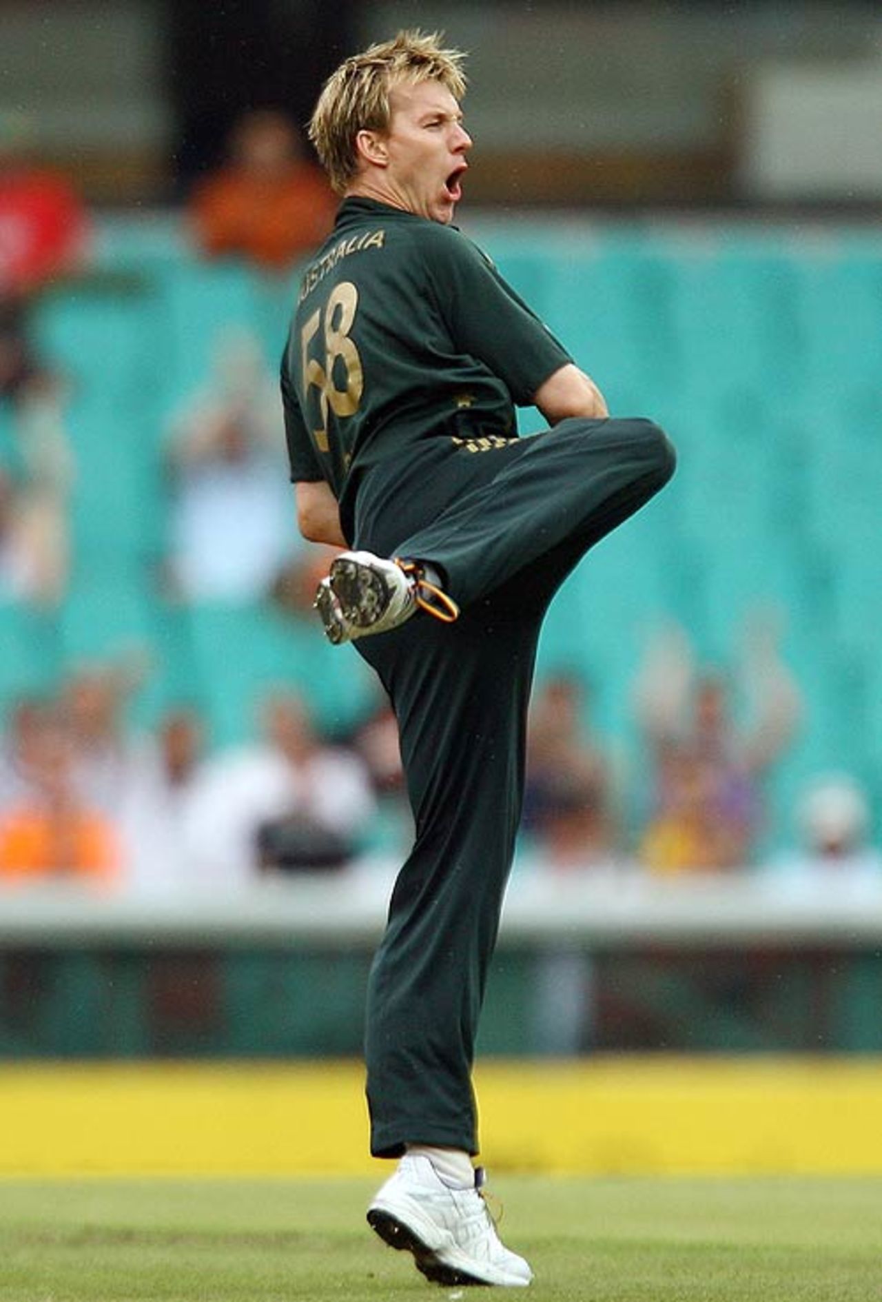Brett Lee is ecstatic after nailing Brendon McCullum, Australia v New Zealand, 2nd ODI, Sydney, December 16, 2007
