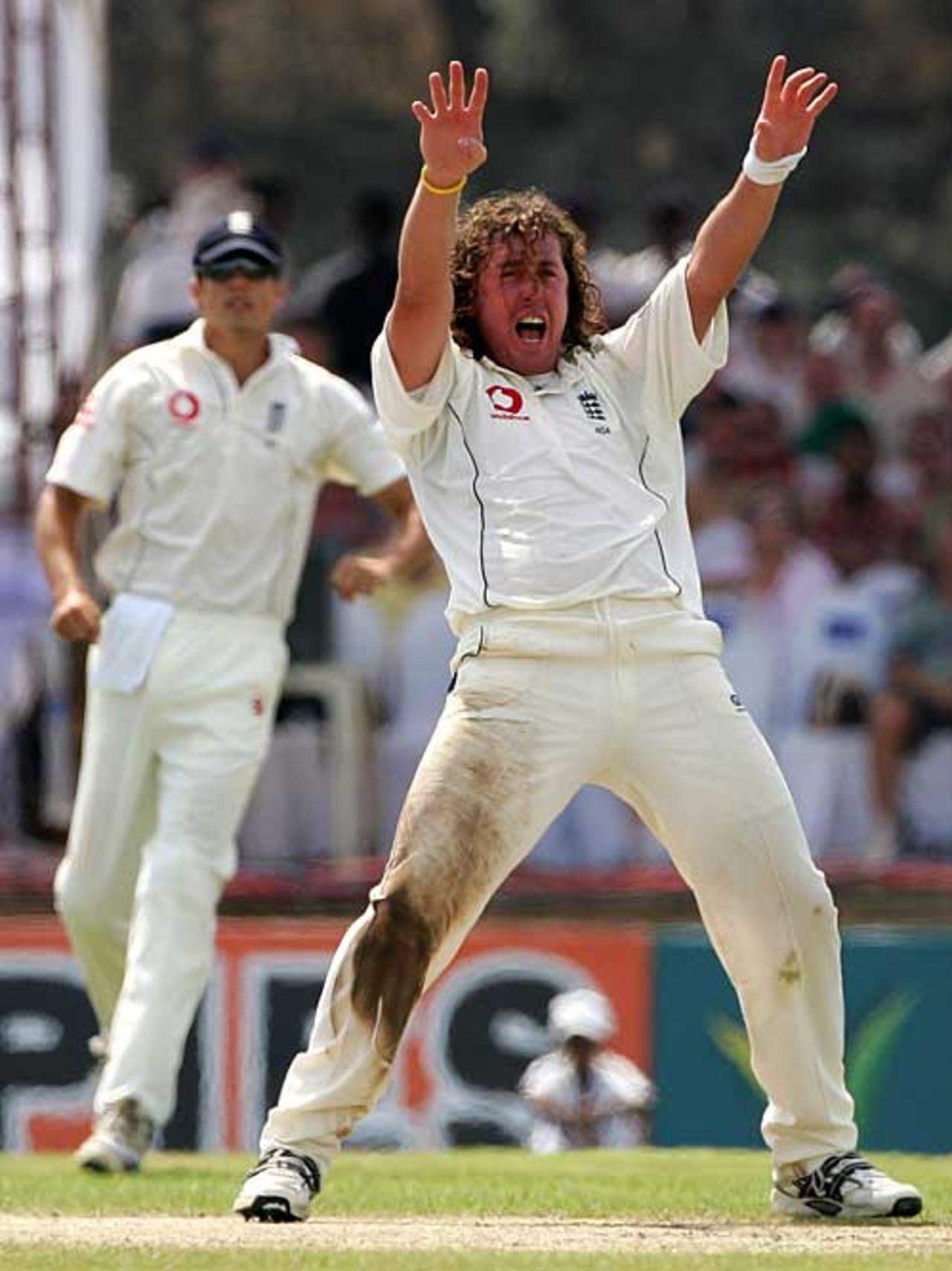 Ryan Sidebottom screams an appeal against Michael Vandort, Sri Lanka v England, 3rd Test, Galle, December 18, 2007