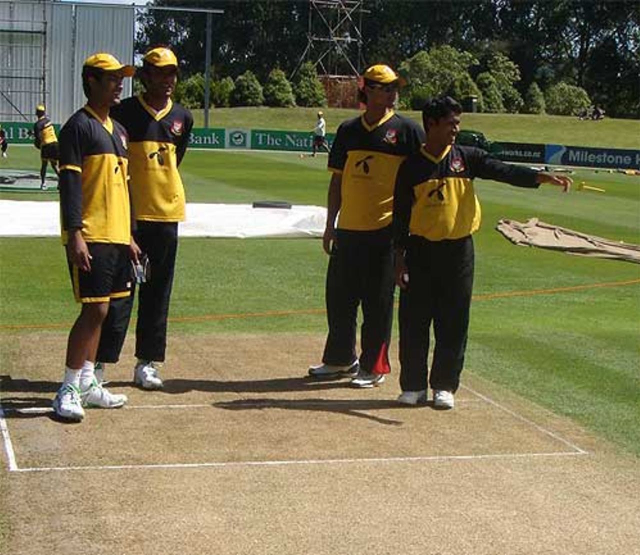 A pitch inspection by the Bangladesh players, Dunedin, January 3, 2008