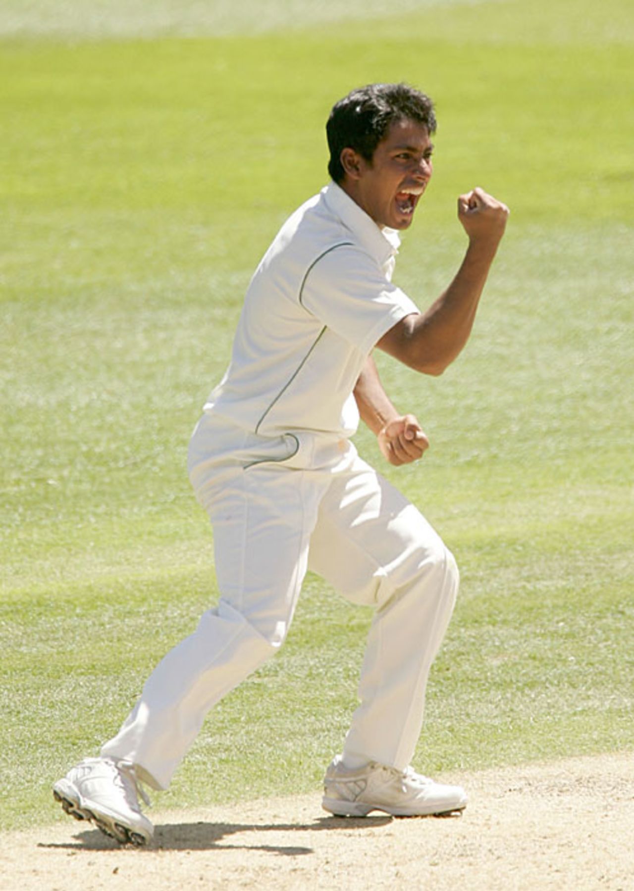 Mohammad Ashraful celebrates Matthew Bell's wicket, New Zealand v Bangladesh, 1st Test, Dunedin, 2nd day, January 5, 2008