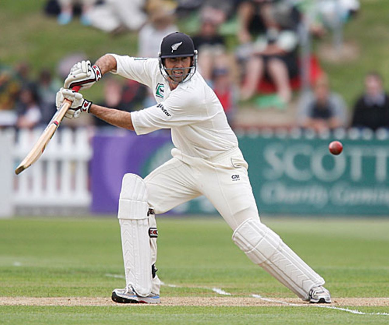 Stephen Fleming drives through the off side, New Zealand v Bangladesh, 2nd Test, Wellington, 2nd day, January 13, 2008