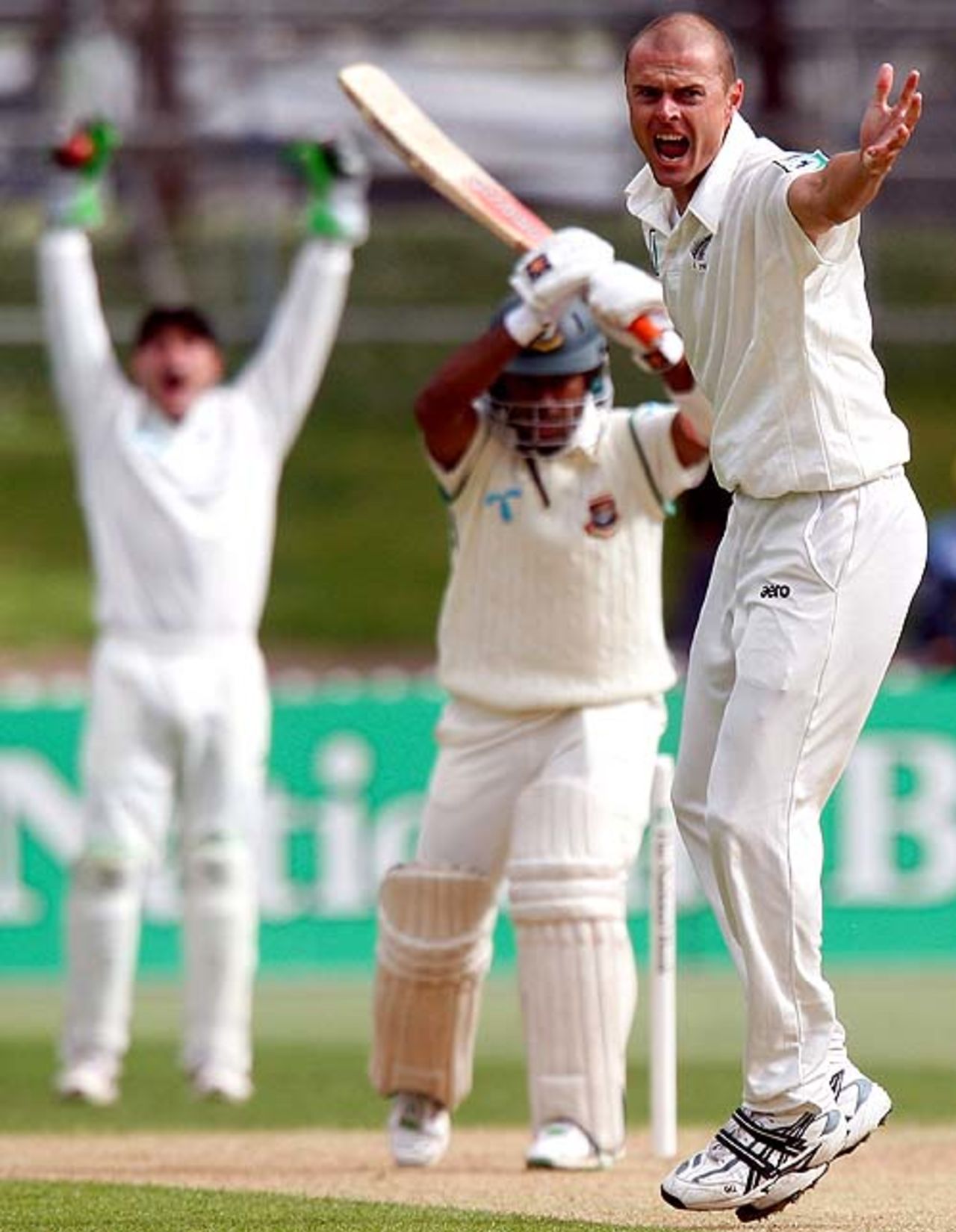 Chris Martin makes a loud appeal, New Zealand v Bangladesh, 2nd Test, Wellington, 2nd day, January 13, 2008