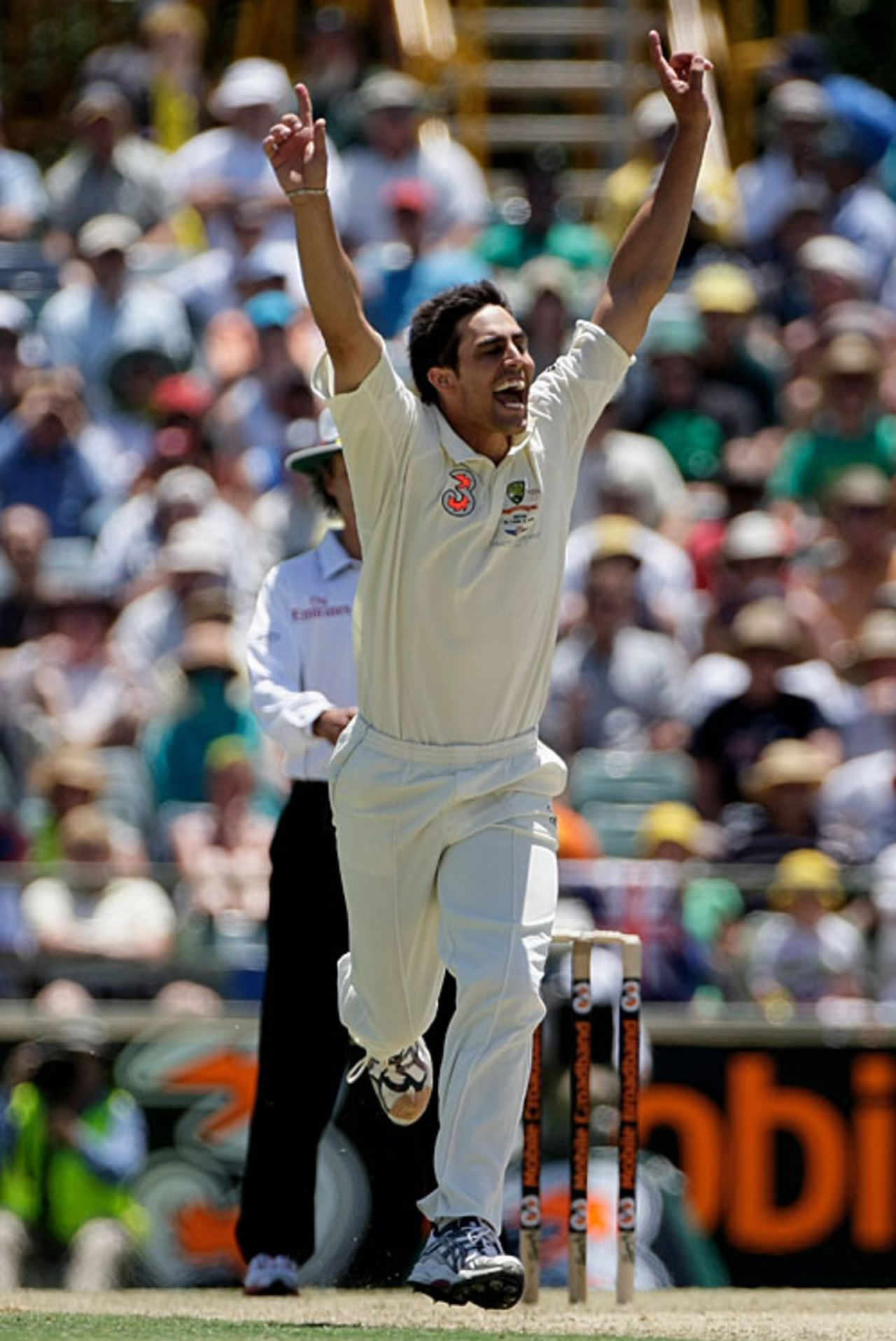 Mitchell Johnson celebrates Virender Sehwag's wicket, Australia v India, 3rd Test, 1st day, Perth, January 16, 2008