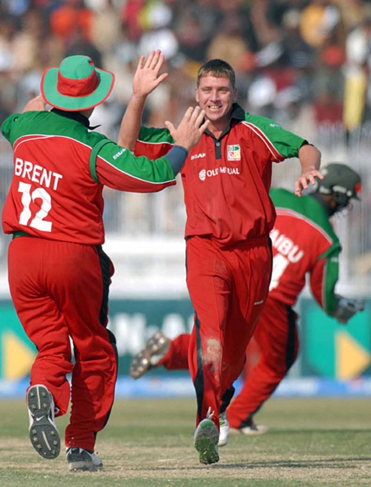Ray Price celebrates running out Nasir Jamshed, Pakistan v Zimbabwe, 2nd ODI, Hyderabad, January 24, 2008