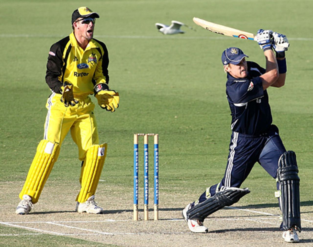 Cameron White drives over the top, Western Australia v Victoria, Ford Ranger Cup, Perth, February 2, 2008