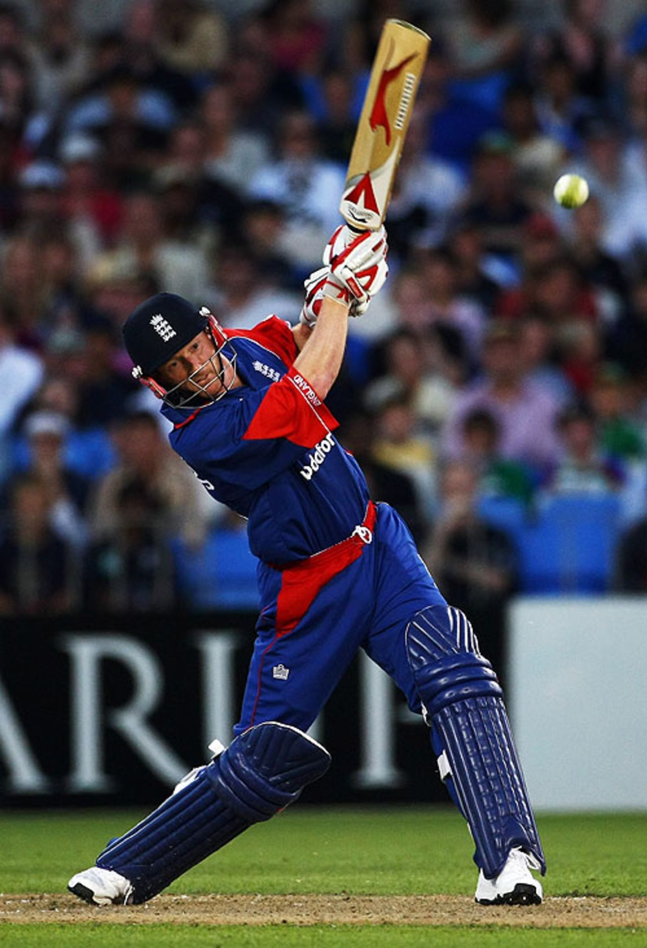 Paul Collingwood drives expansively through the covers, New Zealand v England, 1st Twenty20, Auckland, February 5, 2008