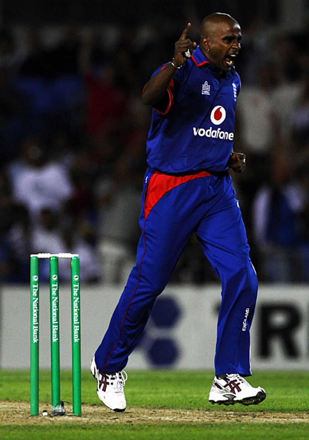 Dimitri Mascarenhas celebrates one of his two wickets, New Zealand v England, 1st Twenty20, Auckland, February 5, 2008