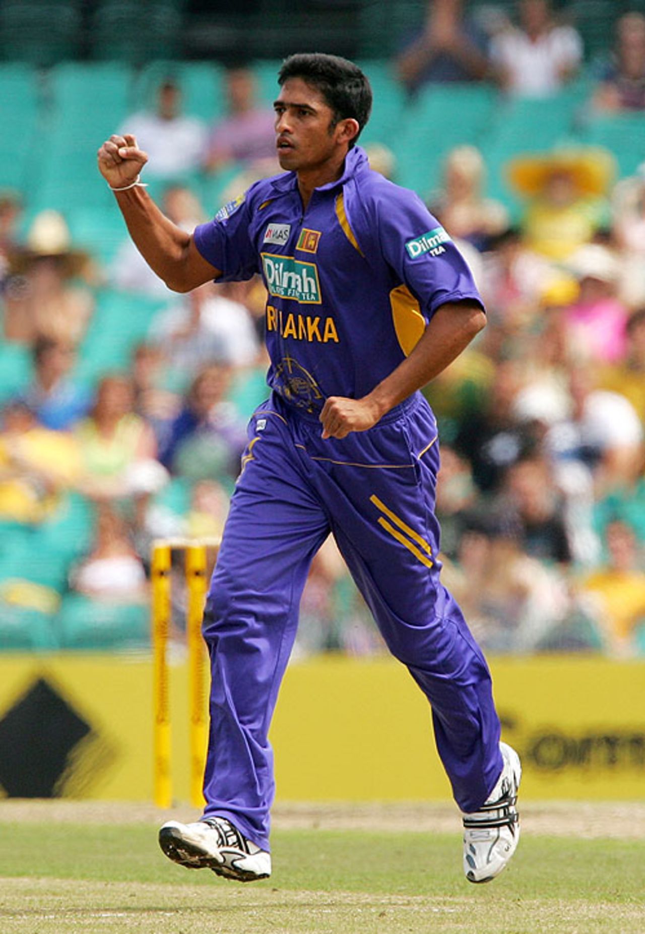 Ishara Amerasinghe picked up Matthew Hayden in a tidy spell, Australia v Sri Lanka, CB Series, 3rd ODI, Sydney, February 8, 2008