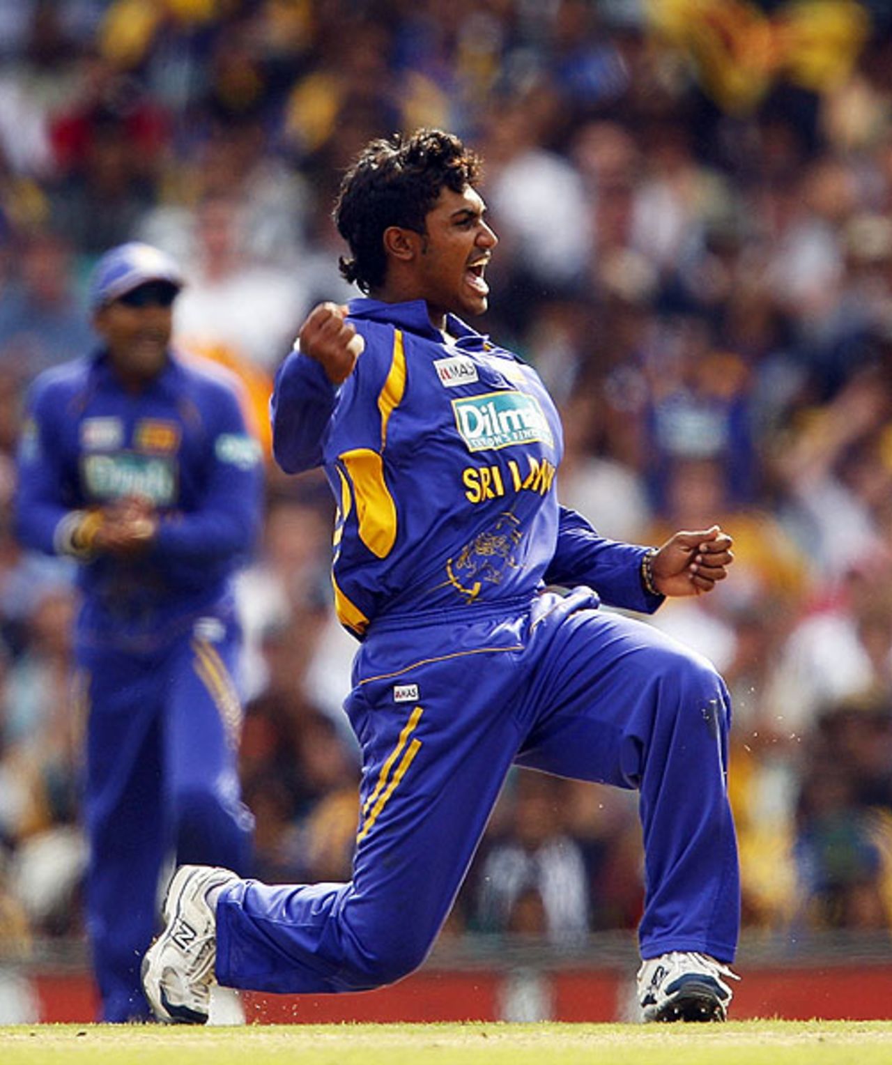 Chamara Kapugedera pumps his fists after nailing Adam Gilchrist, Australia v Sri Lanka, CB Series, 3rd ODI, Sydney, February 8, 2008