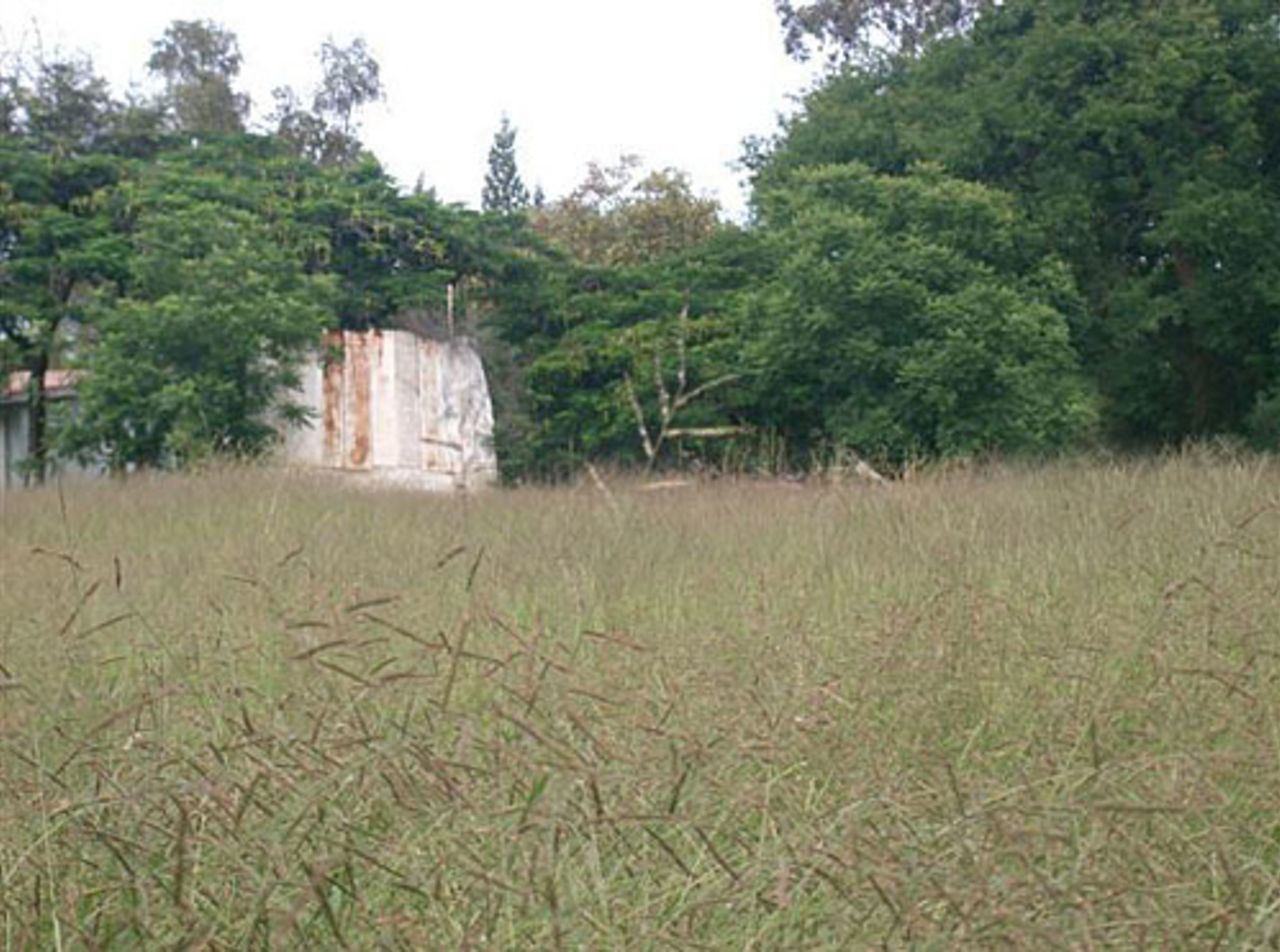 The Sir John Kennedy cricket ground in Kadoma  in the Mashonaland West province, 140km south-west of Harare on the main road to Bulawayo, Zimbabwe, February 2008